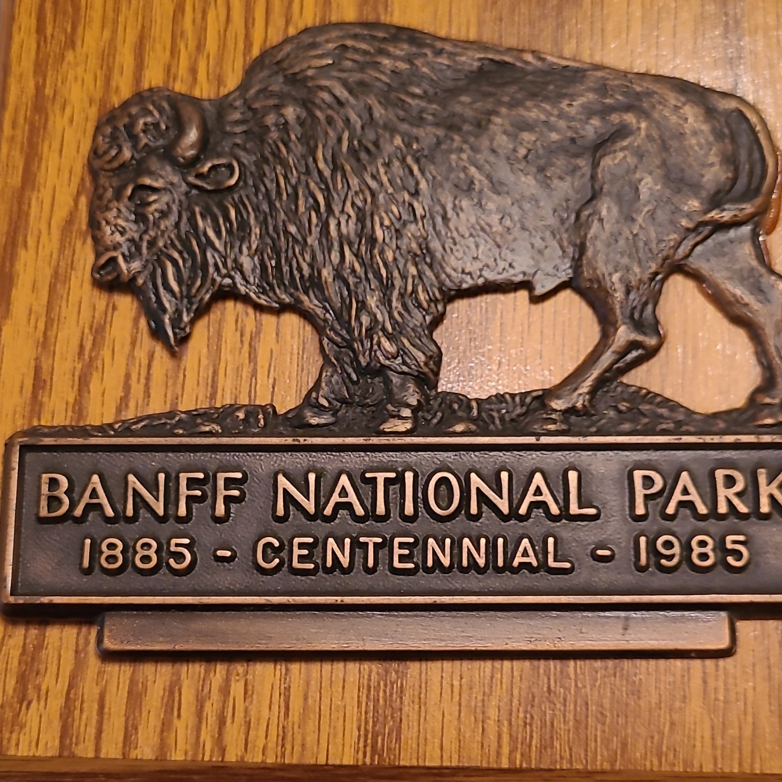 Vintage 1985 Banff National Park Centennial Commemorative Buffalo Plaque & Trade
