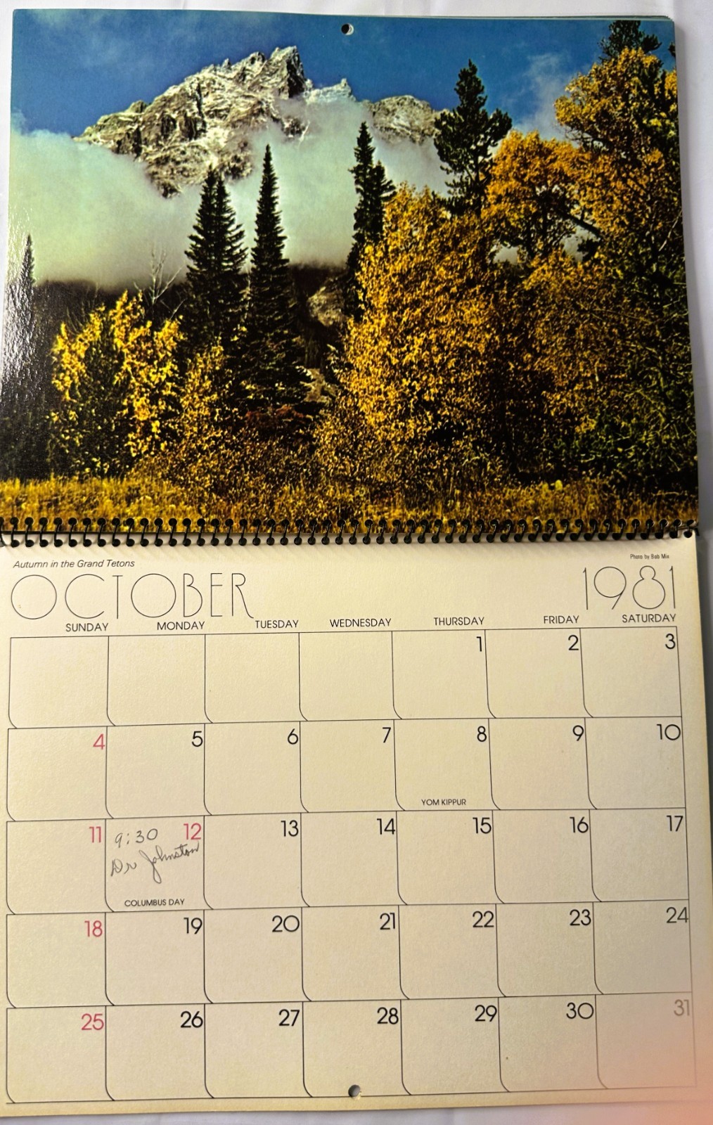 1981 Yellowstone & Grand Teton National Parks Wyoming Color Calendar Spiral Hang