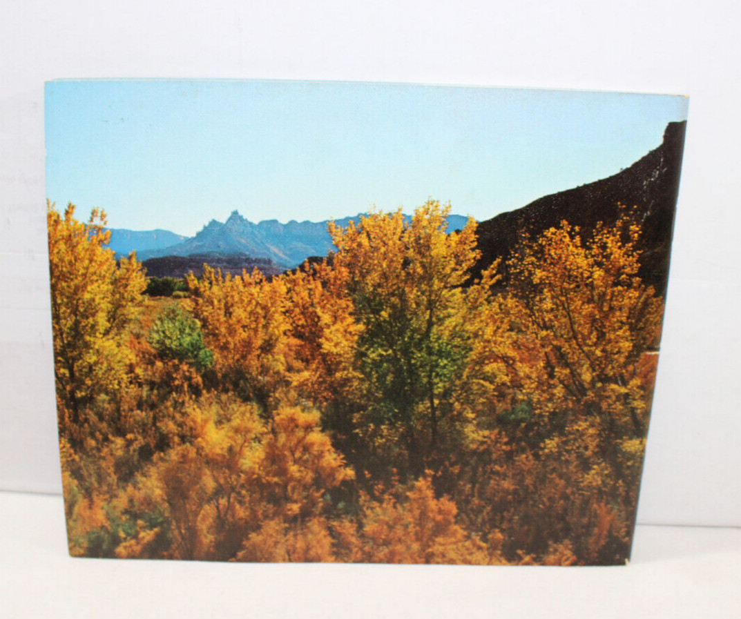 THIS IS ZION BY ALLEN HAGOOD WEEPING ROCK A SPRING OF LIFE