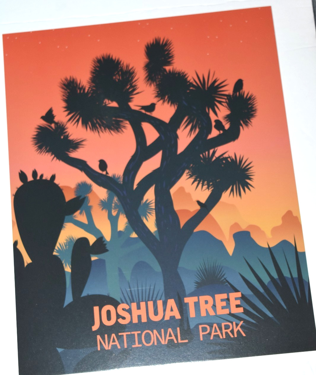 NPS COLOR TRAVEL POSTERS “GRAND CANYON & JOSHUA TREE NtL Park” (8.00″ x 9.75″)