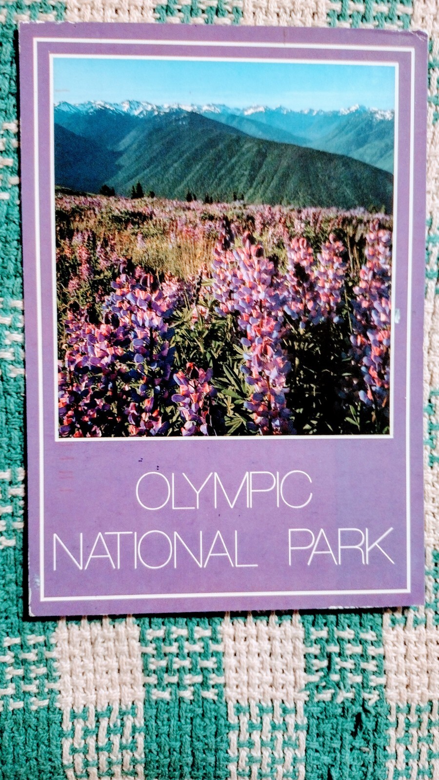 BEAUTIFUL POST CARD OLYMPIC NATIONAL PARK WASHINGTON PACIFIC NORTHWEST
