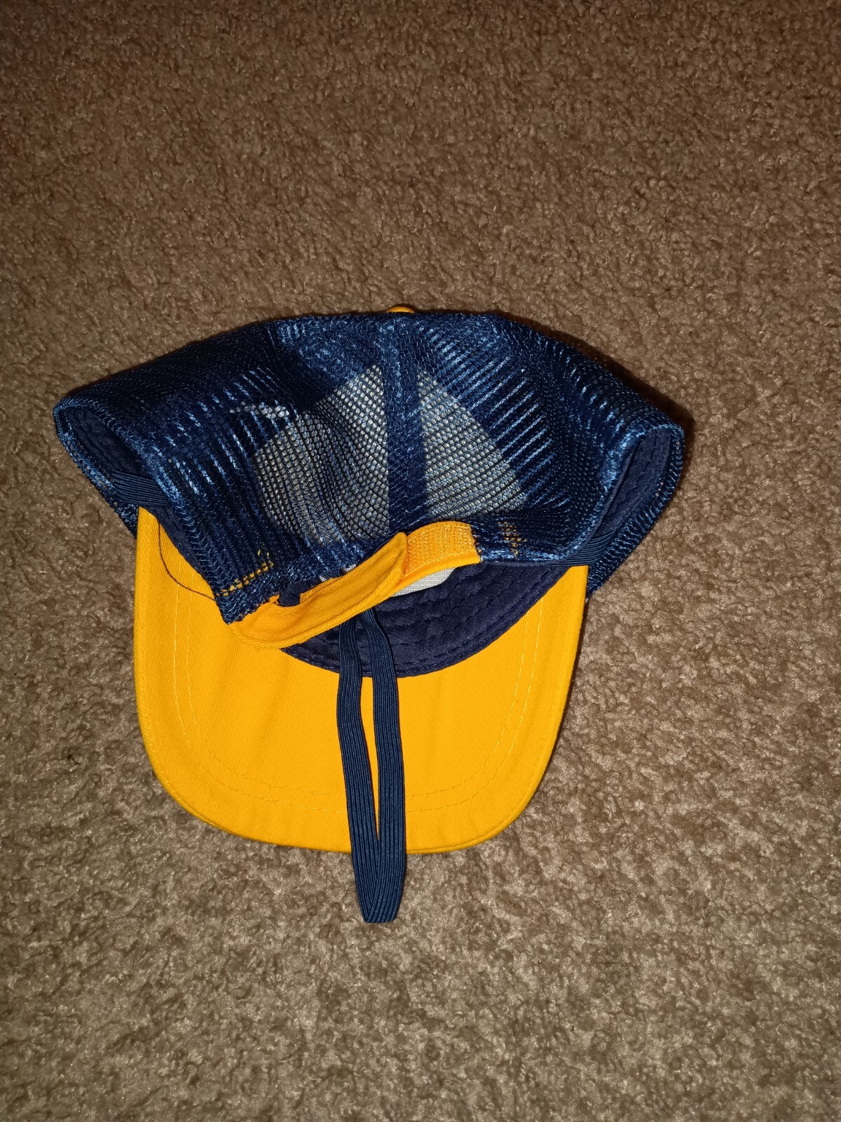 2-NATIONAL PARKS HAT’S-CONSERVATION ASSOCIATION-ADULT & TOP PAW PUP HAT