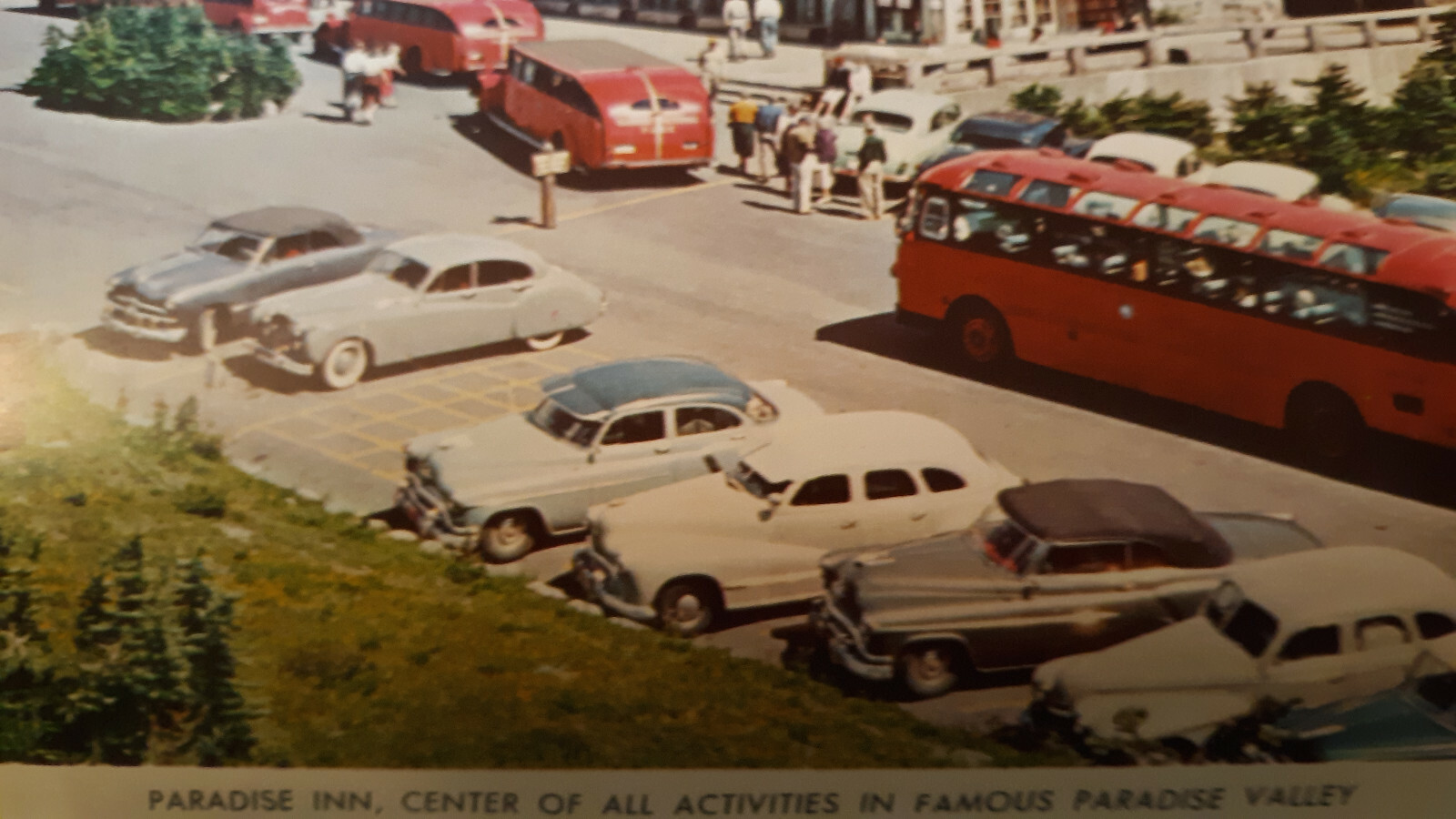 Paradise Inn Washington Large Postcard WA 6″ x 9″ Old cars & bus 1950s
