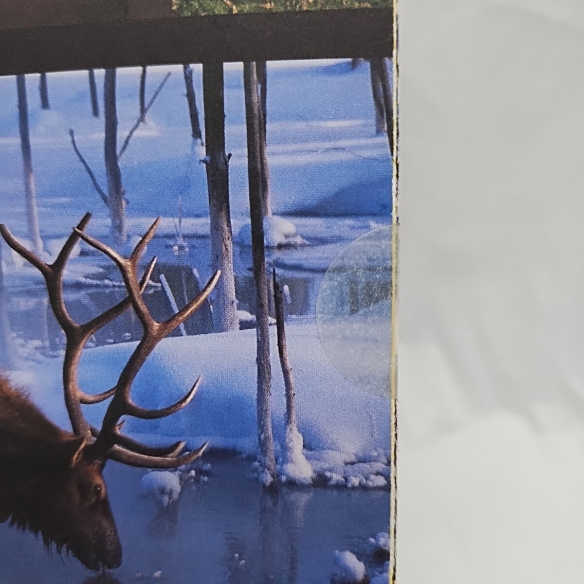 Winter 2001 Goparks National Park Foundation Brochure