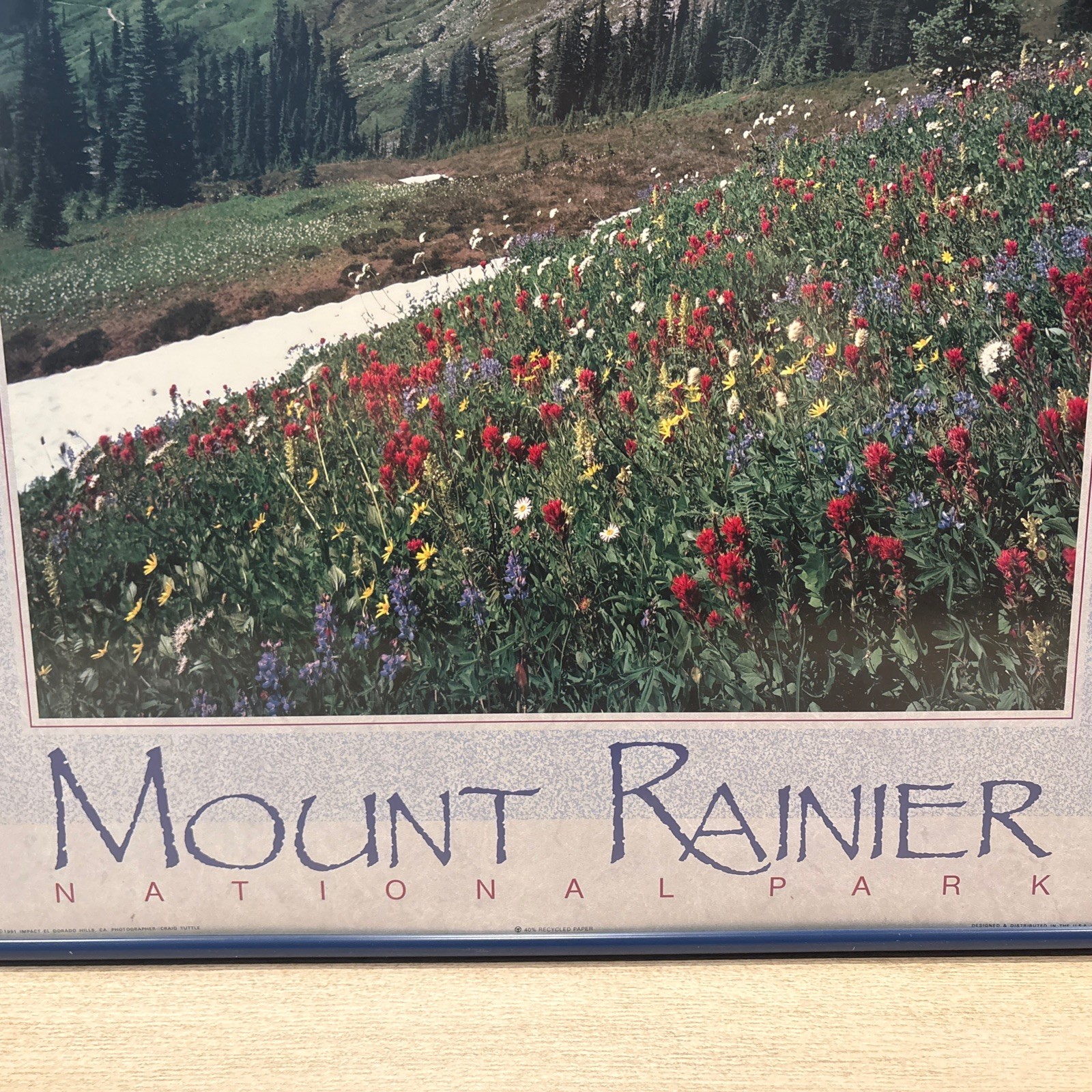 Mount Rainier National Park Framed Art Print Washington (24.5 x 18.5 Inches)