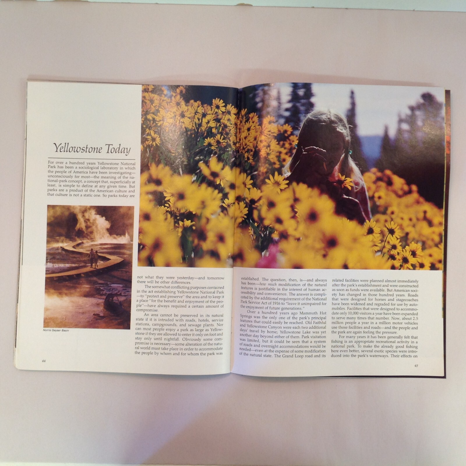 Vtg 1977 Souvenir Color Photo Guide Yellowstone The Story Behind the Scenery