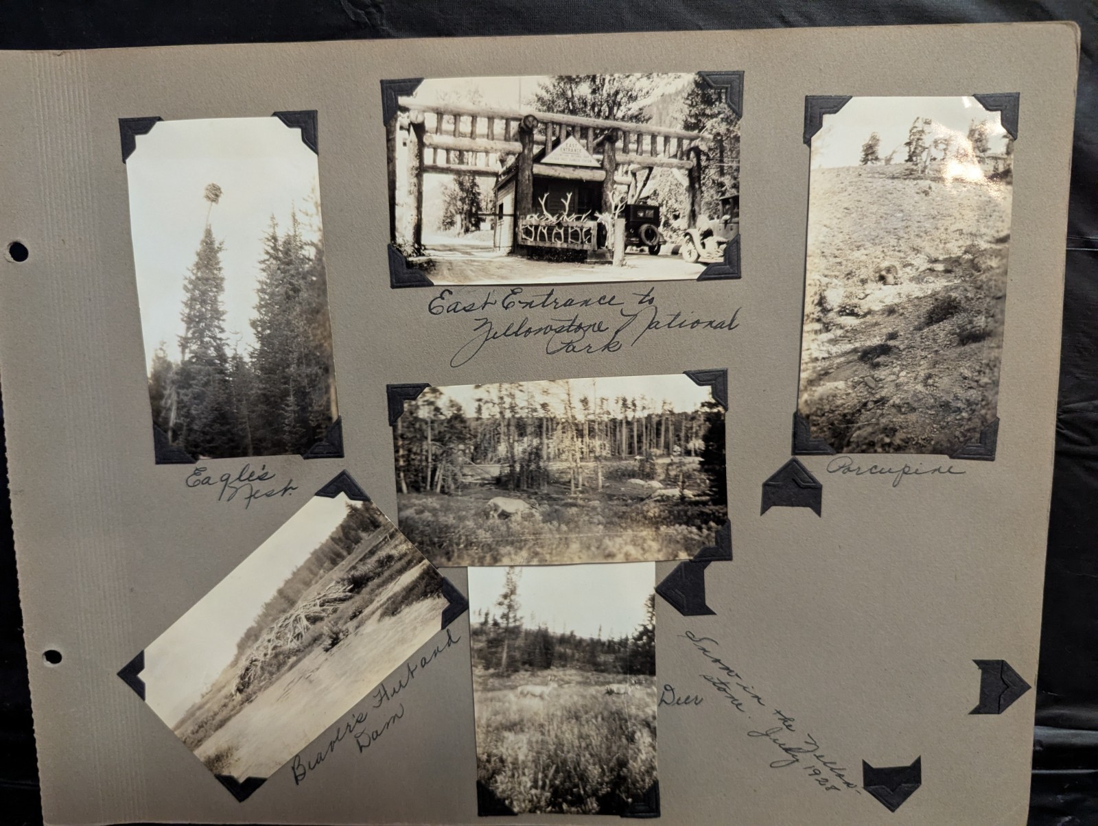 Vintage 1920’s Yellowstone Nat’l Park Photos