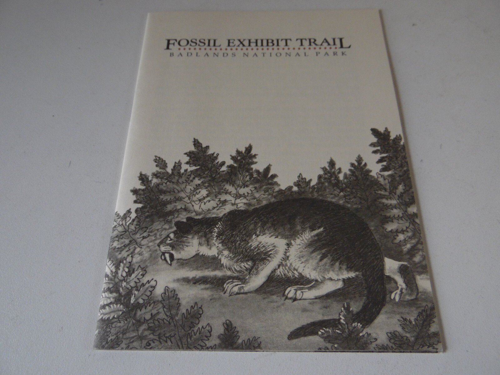 Fossil Exhibit trail badlands national park brochure guide