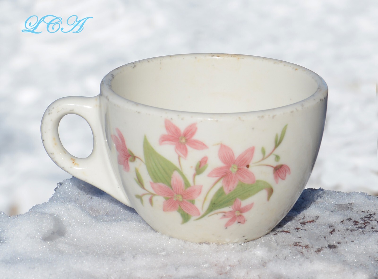 Antique GLACIER NAT’L PARK cup GREAT NORTHERN railroad SYRACUSE China MONTANA