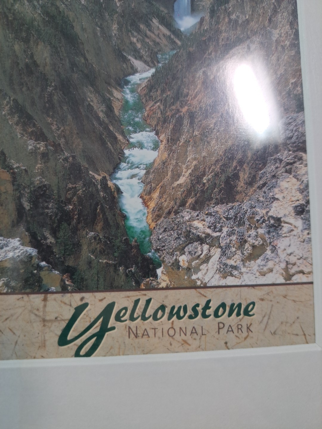 3 Framed Souvenir Prints Or Postcards Of Yellowstone National & Grand Teton Park