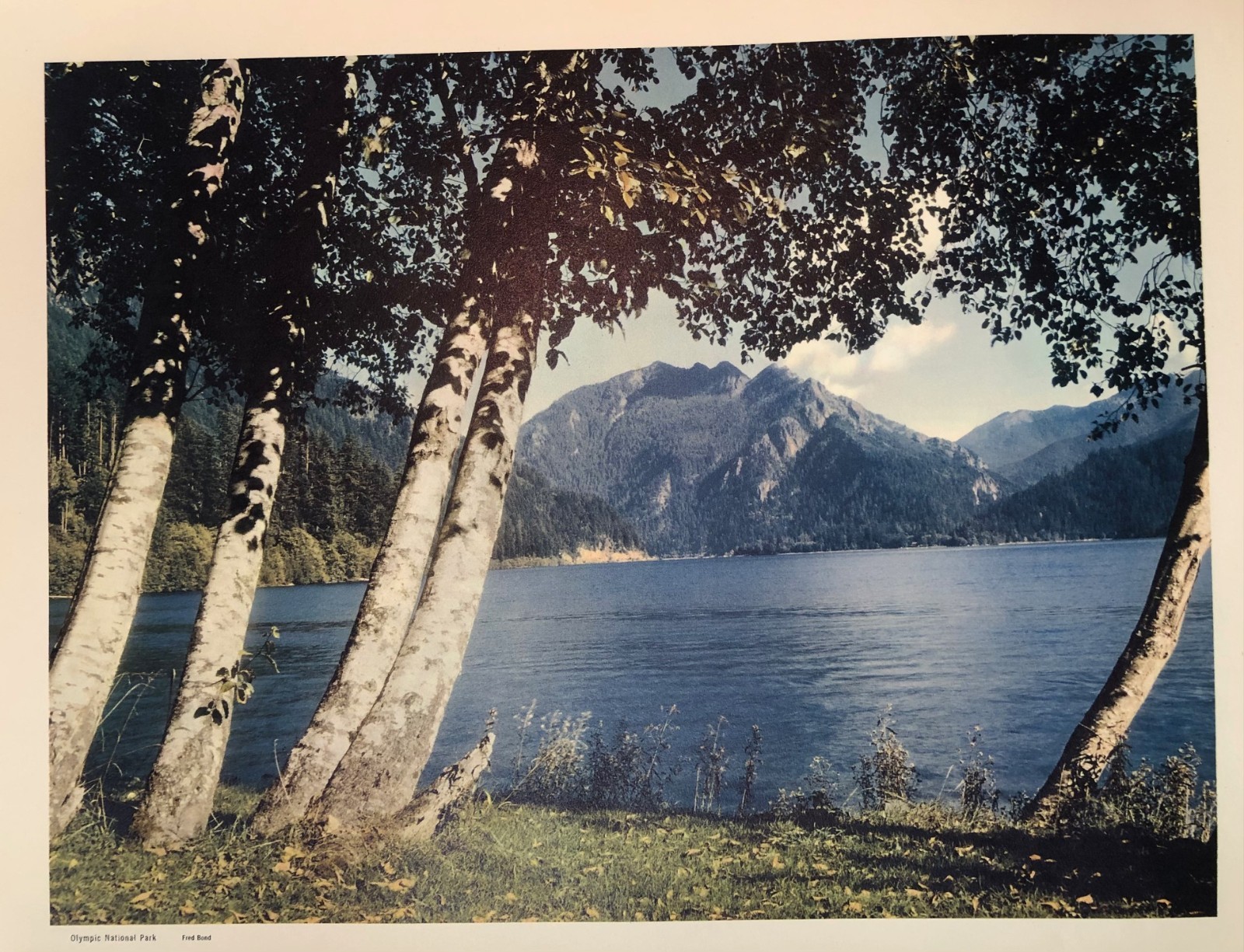 RARE 1953 National Parks Portfolio No. 1 12 lithograph scenes on special paper