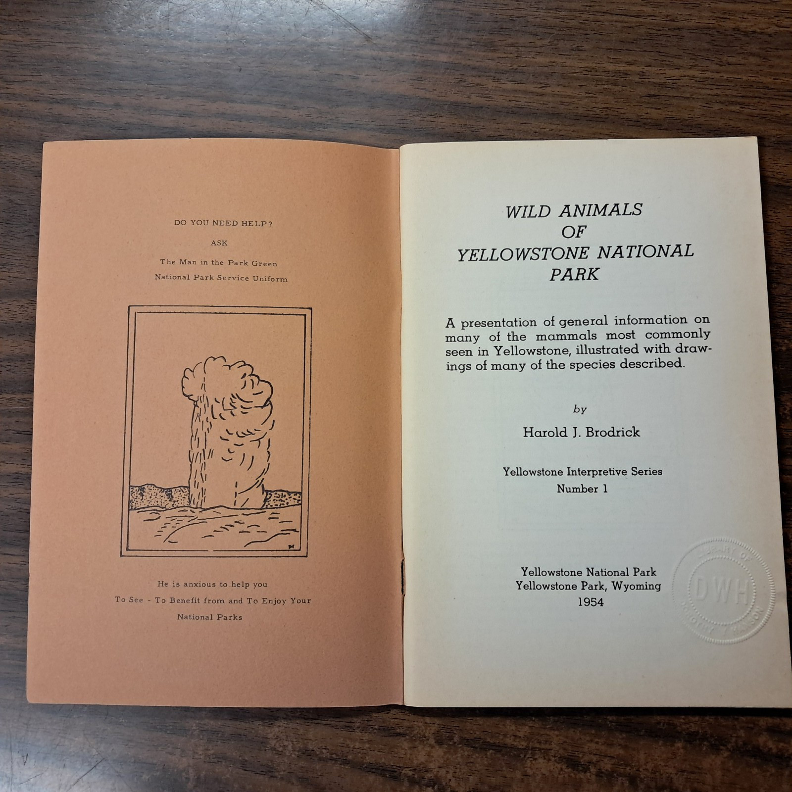 1954 Wild Animals Of Yellowstone National Park From Library Of Dorothy Hanson