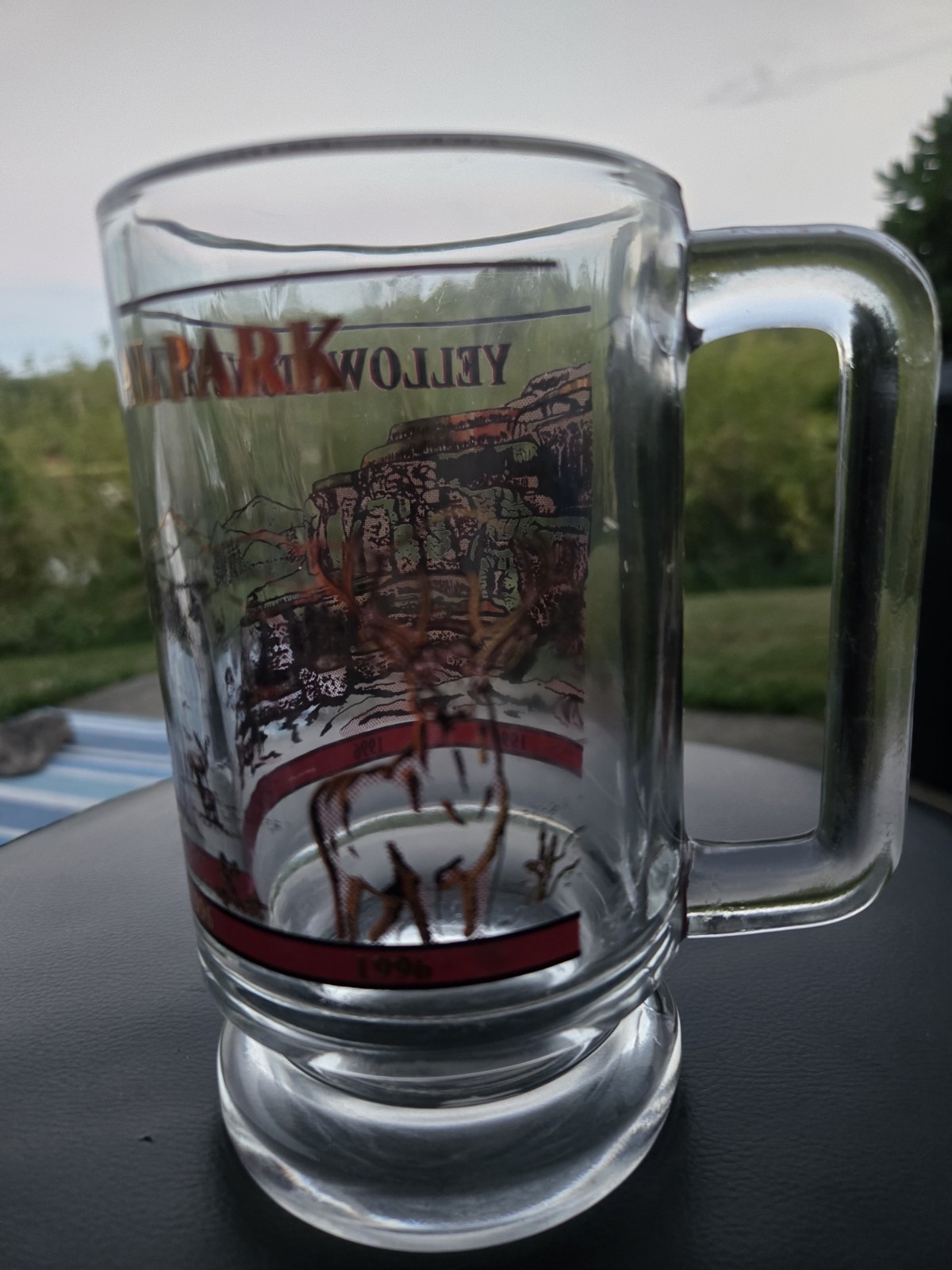 Vintage 1996 Yellowstone National Park Souvenir Glass Mug Beer Stein Wildlife…