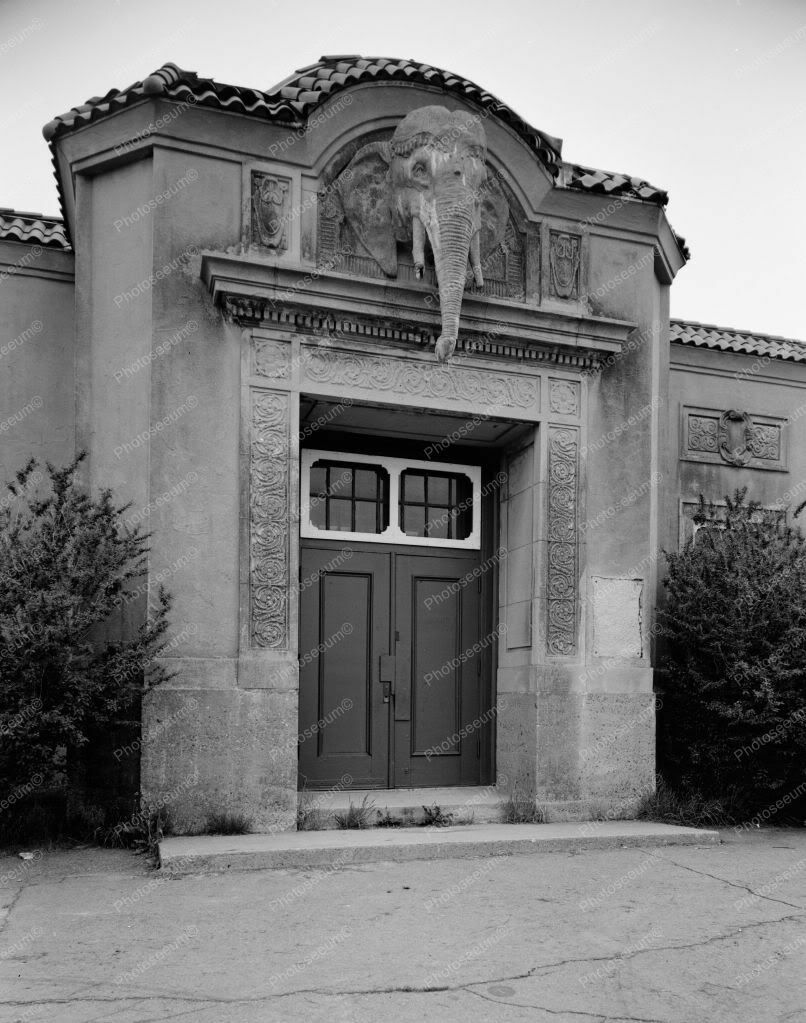 Elephant House Franklin Zoo Boston 8×10 Photography Reprint
