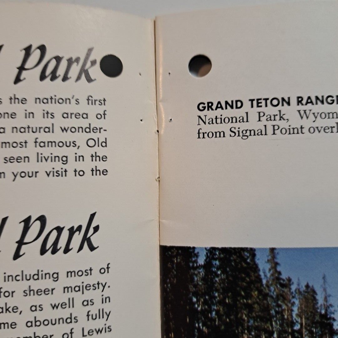 Yellowstone Grand Teton National Parks & Jackson Hole Country💥WYOMING c1960s