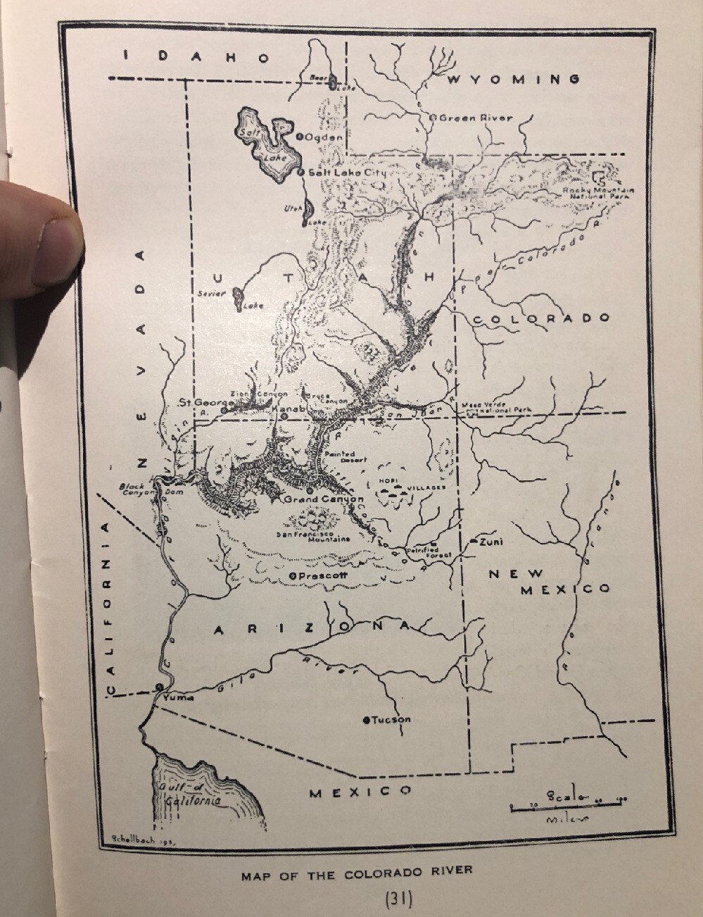 1950 Ancient Landscapes Grand Canyon,Zion,Bryce,painted Desert Etc Illustr.