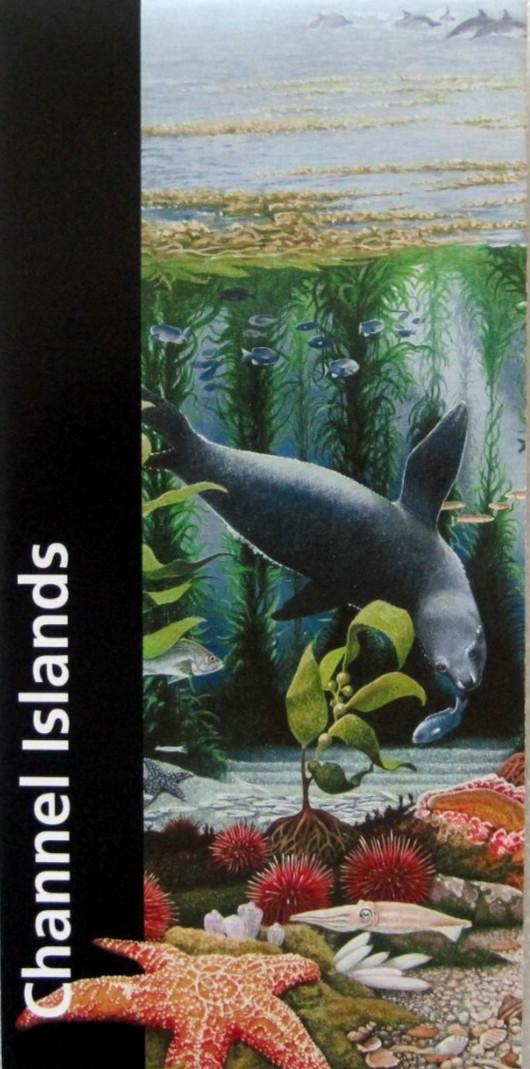 Channel Islands National Park National Park Service Unigrid Brochure Map