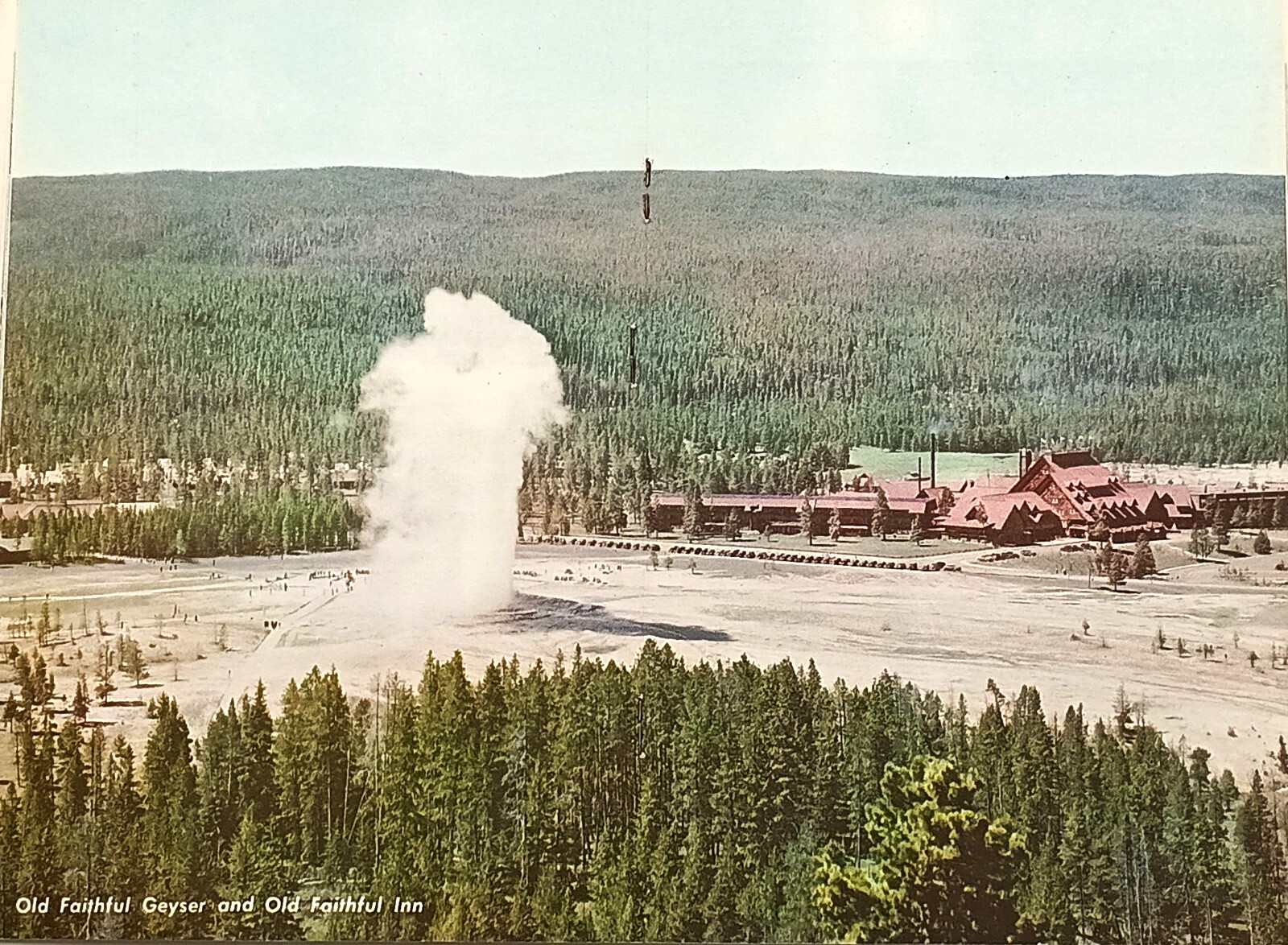 Yellowstone National Park orig 1949 Union Pacific Railroad Tourist Book