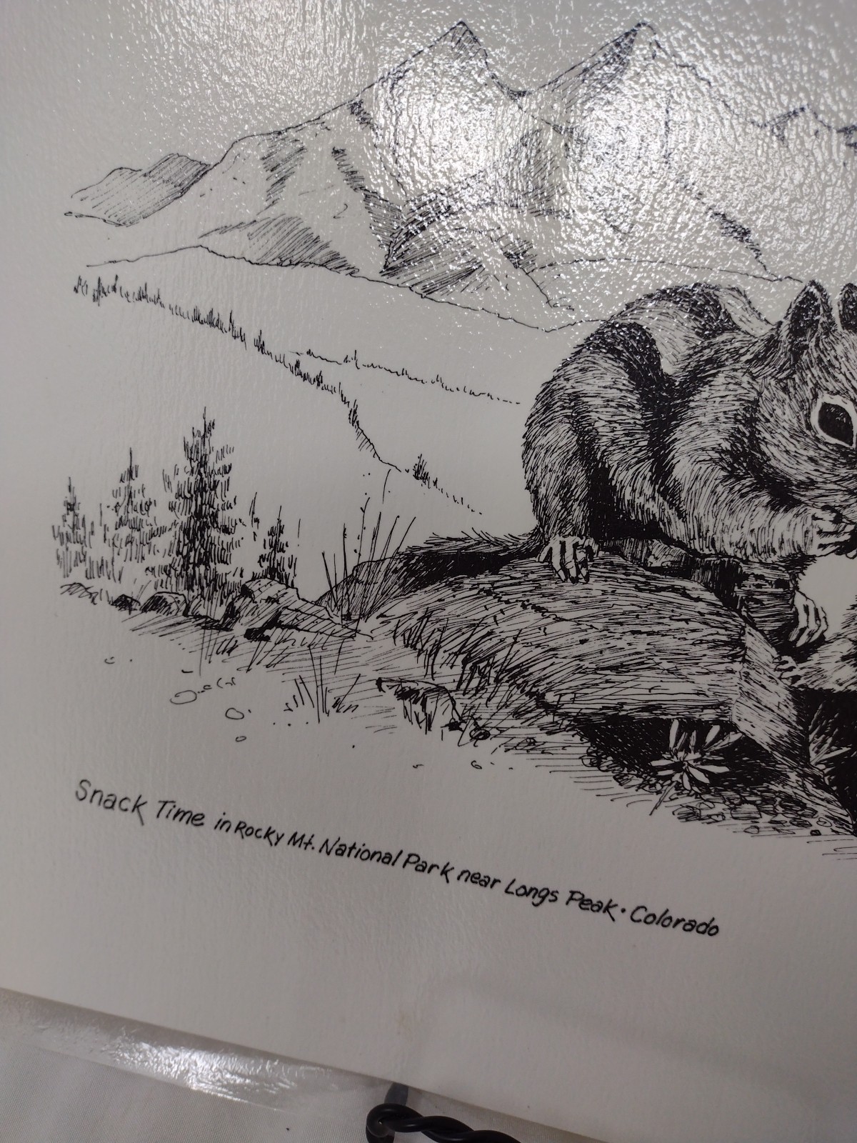 G.E. Geivett Print 1978 “Snack Time In Rocky Mtn Natl Park” Vintage Laminated