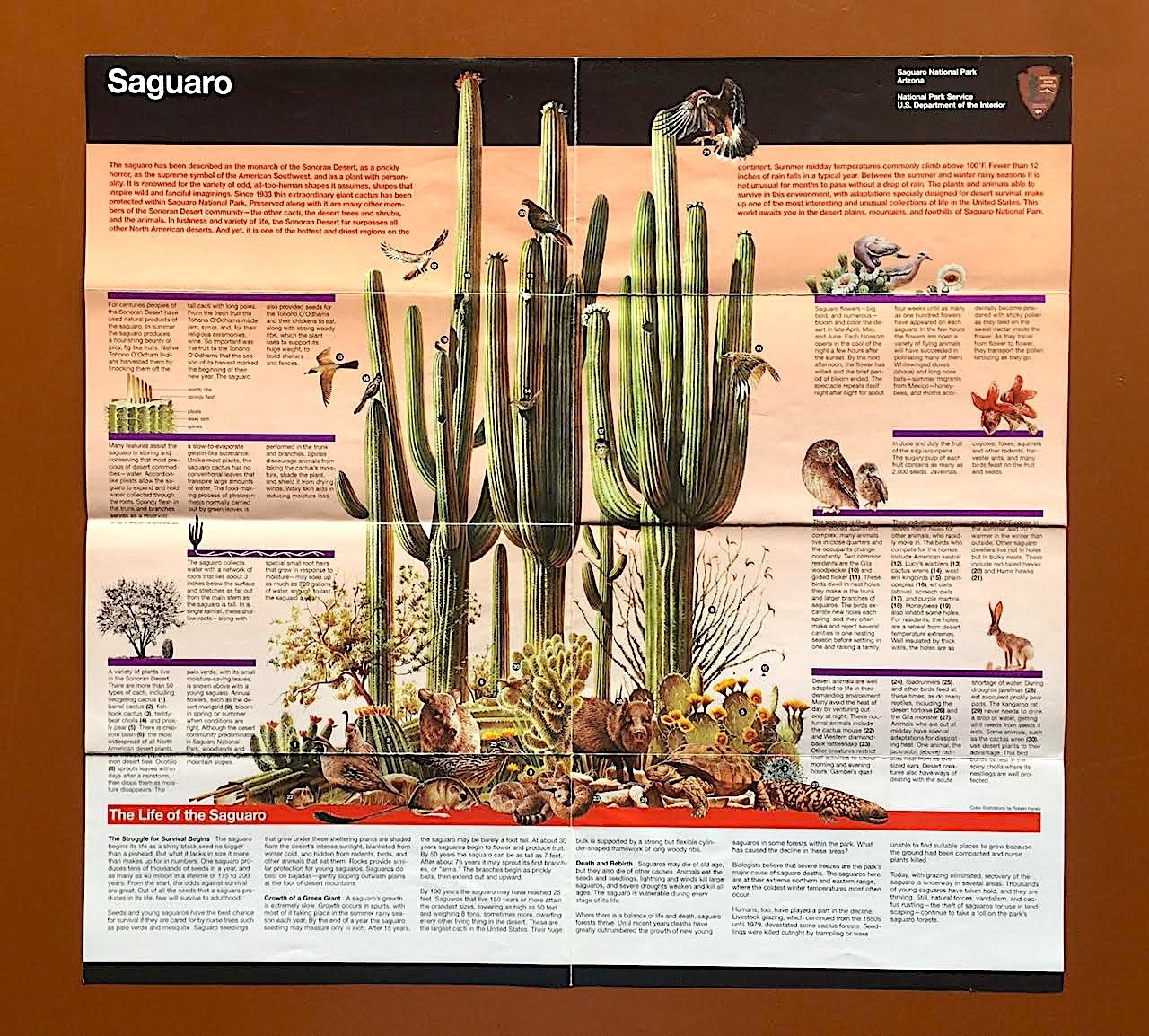 Maps, Guides, Postcards for Saguaro National Park, Tucson AZ