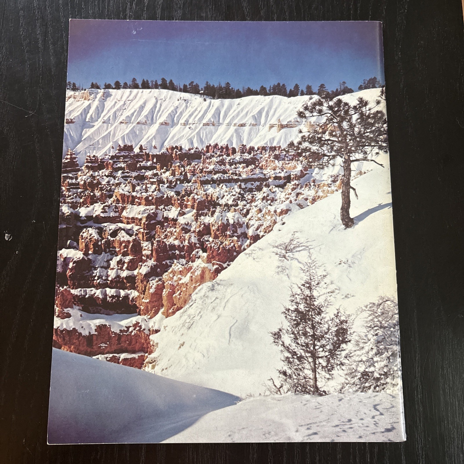 National Parks Centennial Bryce Canyon (1976/Trade Paperback) by Don Follows