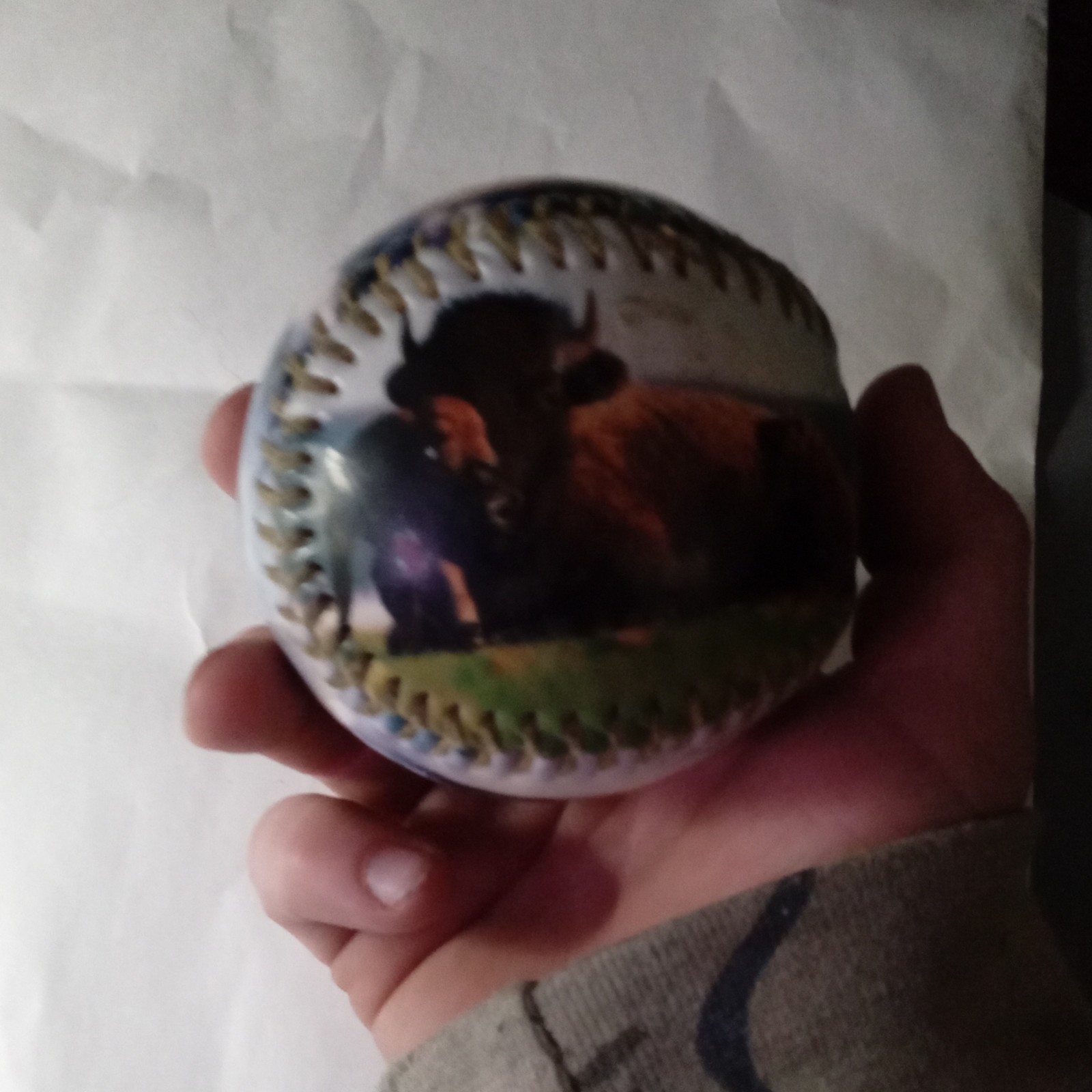 Yellowstone National Park Collectible Souvenir Baseball Bear Bison Images