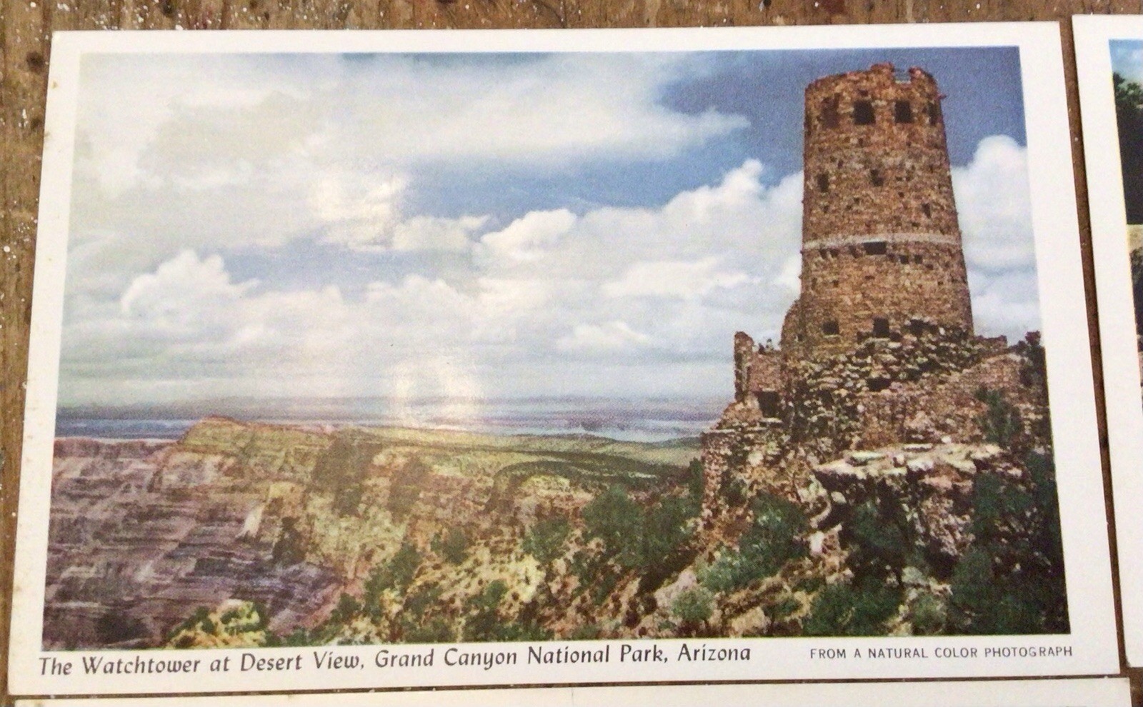 Lot Of (11) Fred Harvey Grand Canyon National Park Unposted Good Condition