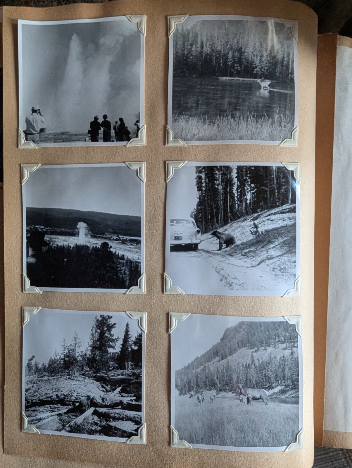 1953 Travel Log “Thru The West With The Bischoffs” Journal, Photos, Postcards