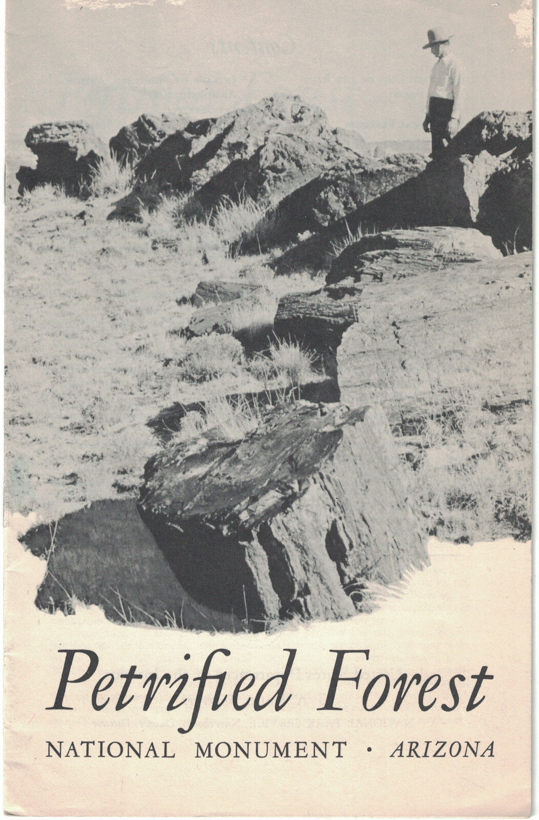 Petrified Forest National Monument Arizona 1949 Brochure