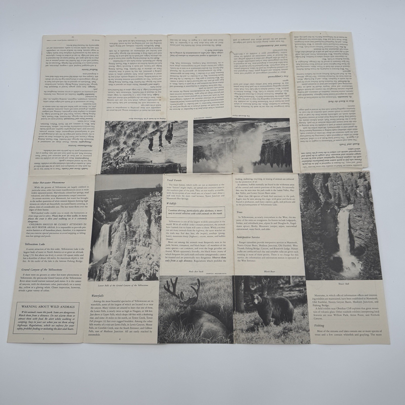 Vintage 1956 Yellowstone National Park Fold Out Brochure Map