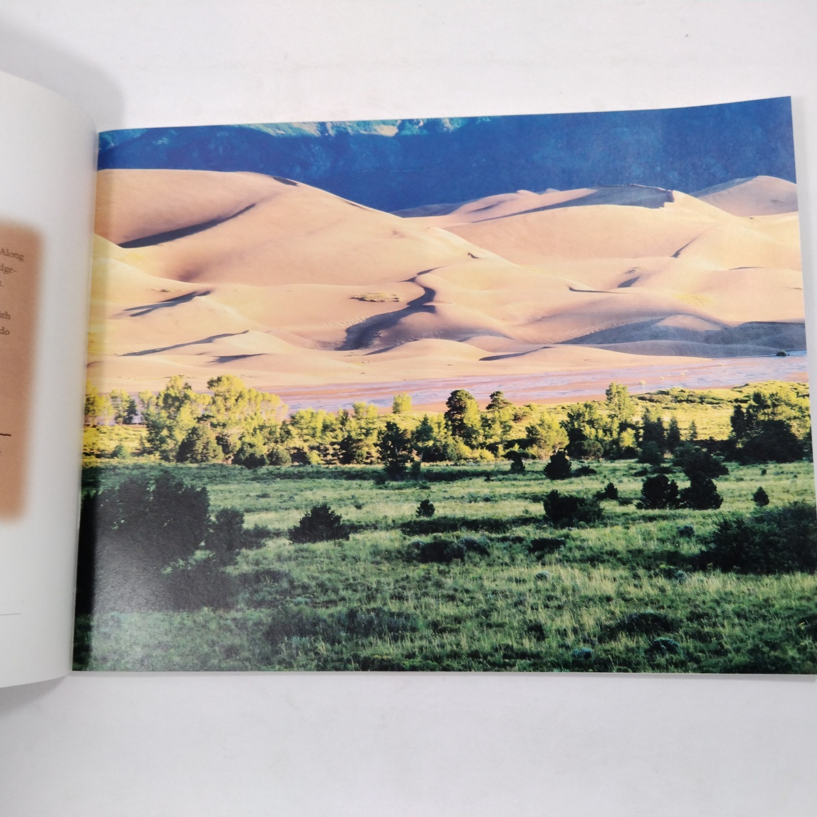 Great Sand Dunes The Shape Of The Wind By Stephen Trimble