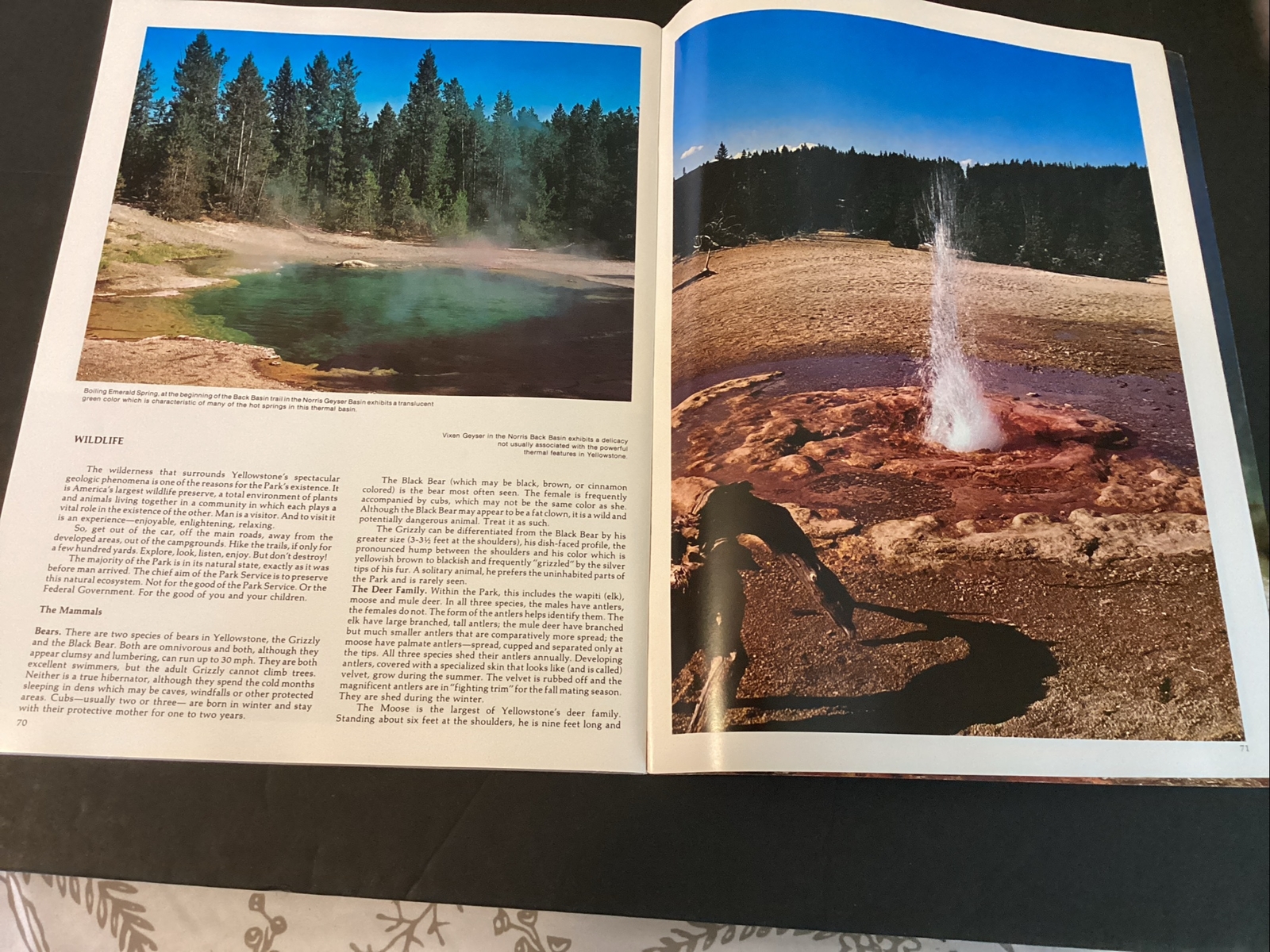 Vintage 1976 Paperback Yellowstone 12×9 National Parkways Guide To Yellowstone