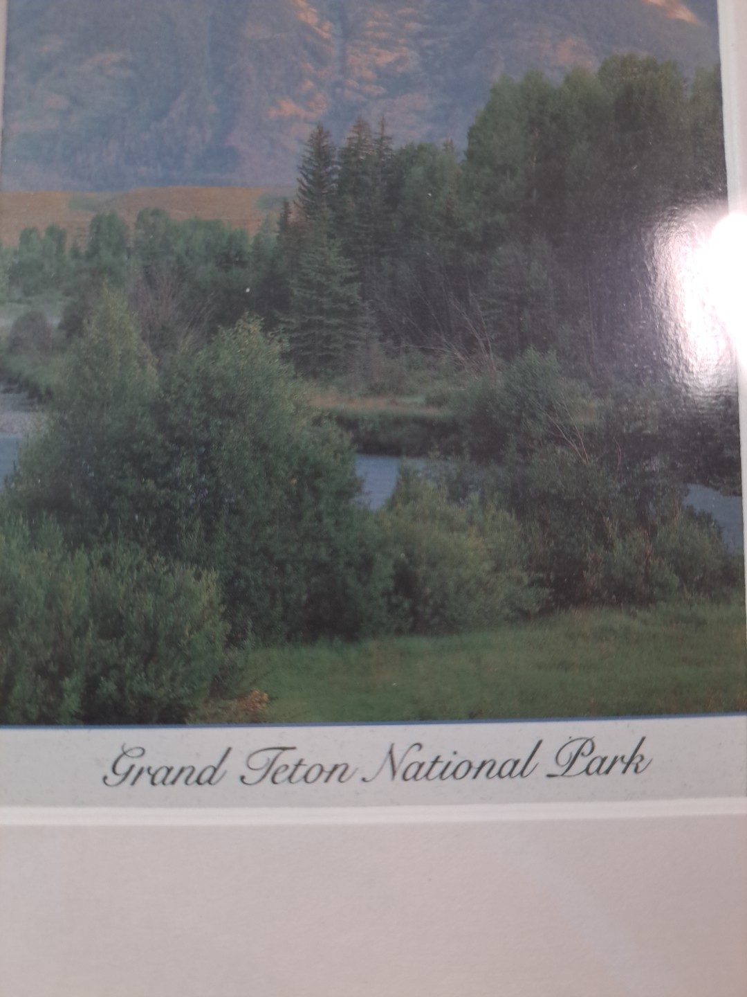 3 Framed Souvenir Prints Or Postcards Of Yellowstone National & Grand Teton Park