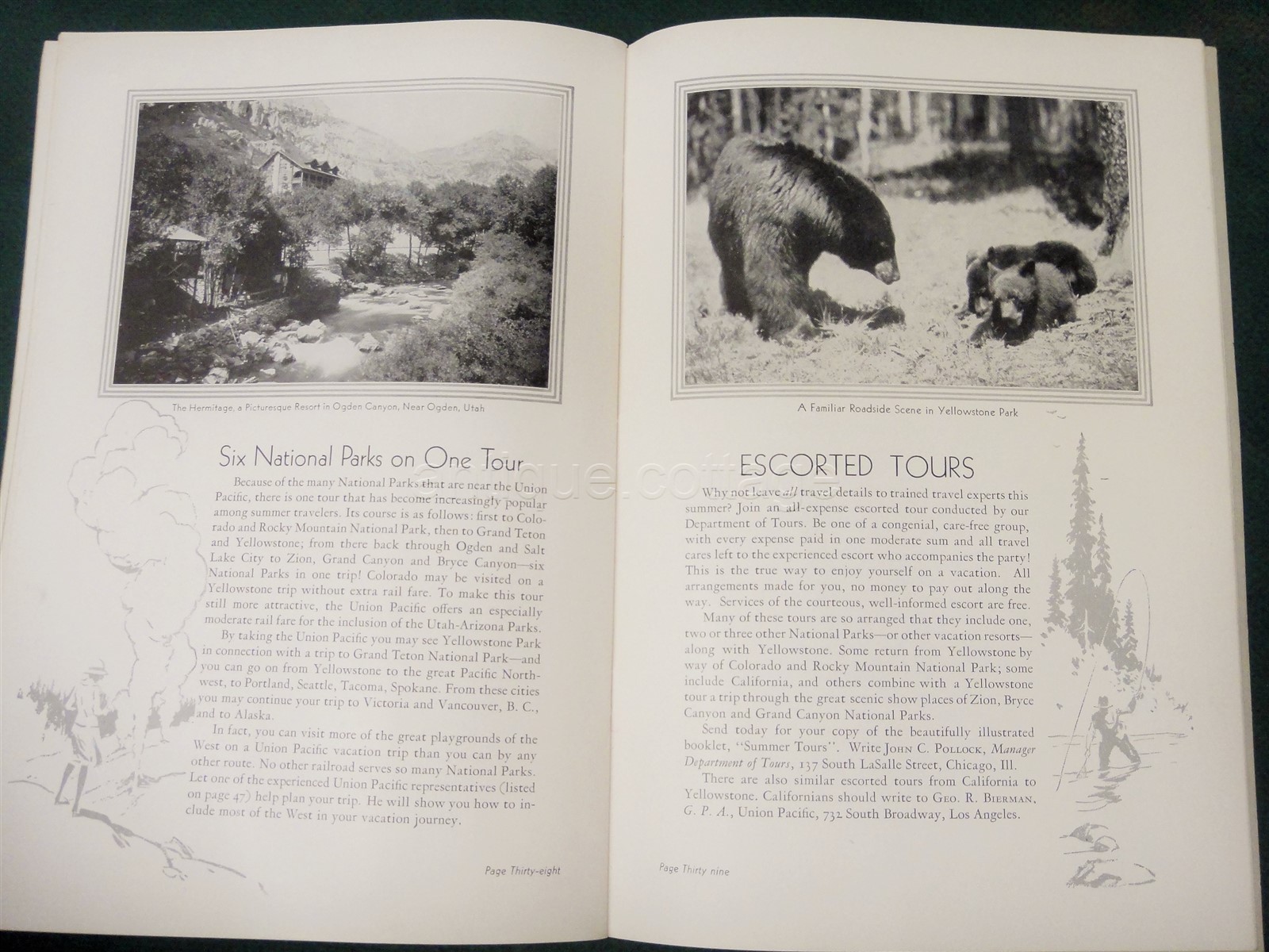 antique YELLOWSTONE and GRAND TETON NATION PARK union pacific rr photo book