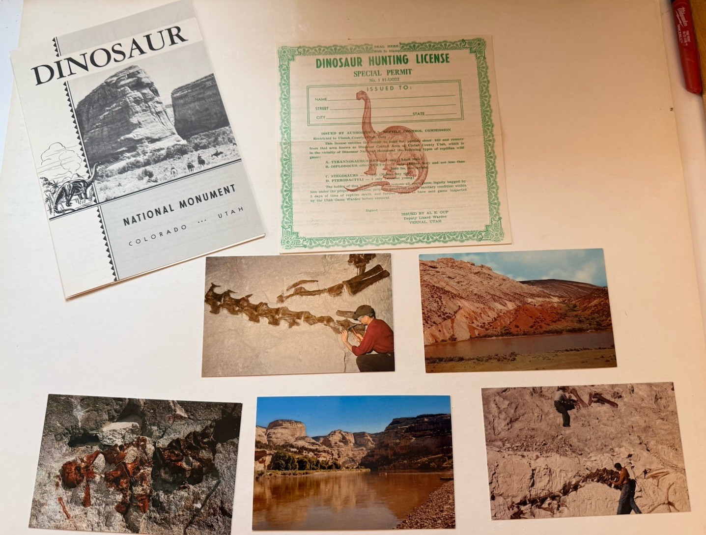 Vintage 1955 Dinosaur National Monument Postcards Brochure Map License Lot