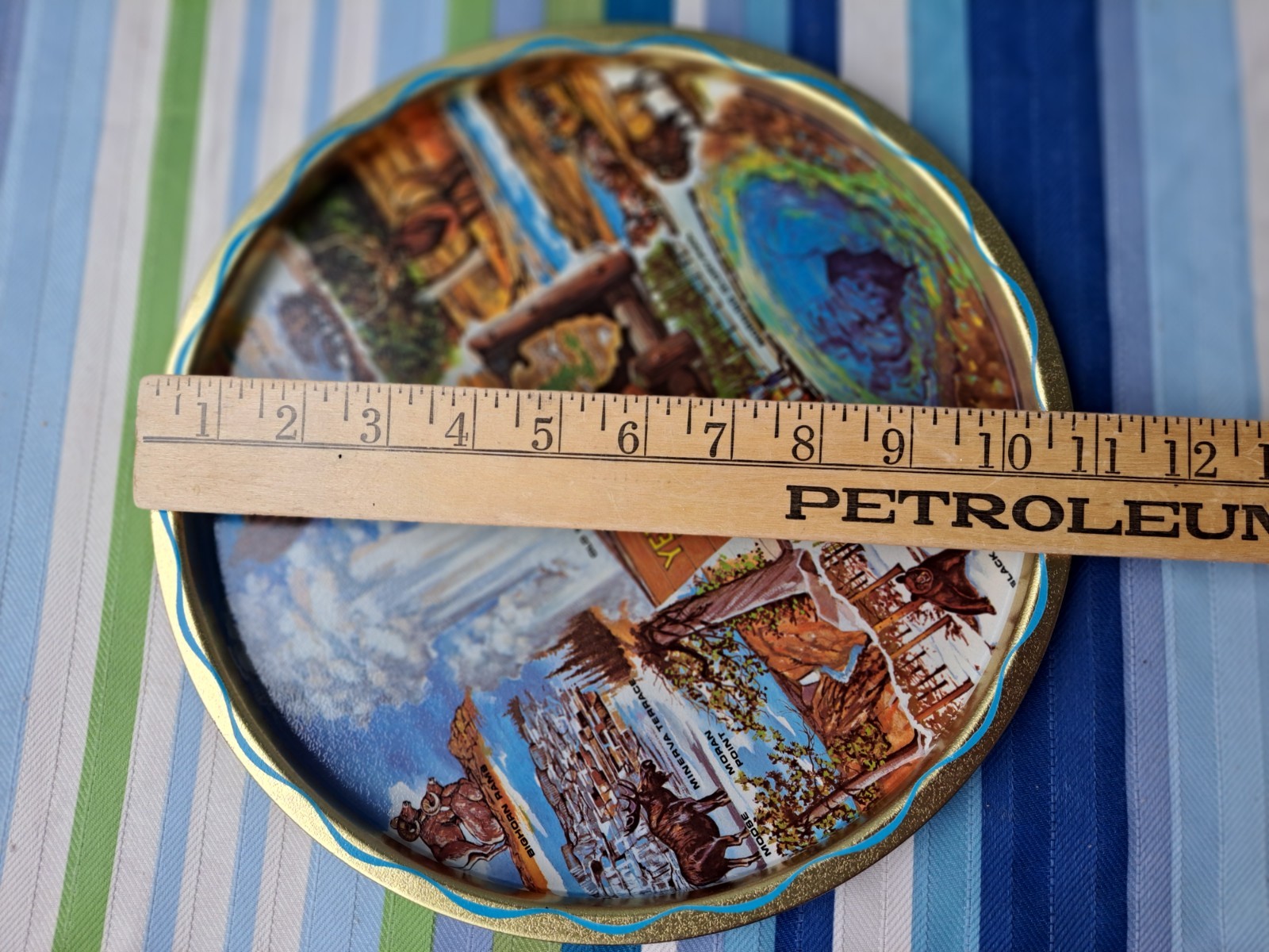 Vintage 1960’s Yellowstone National Park Metal Souvenir Tray EUC BIN27