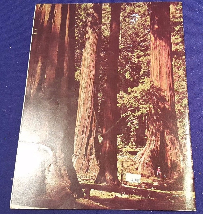 1977 YOSEMITE The Story Behind the Scenery Paperback Book KC Publications