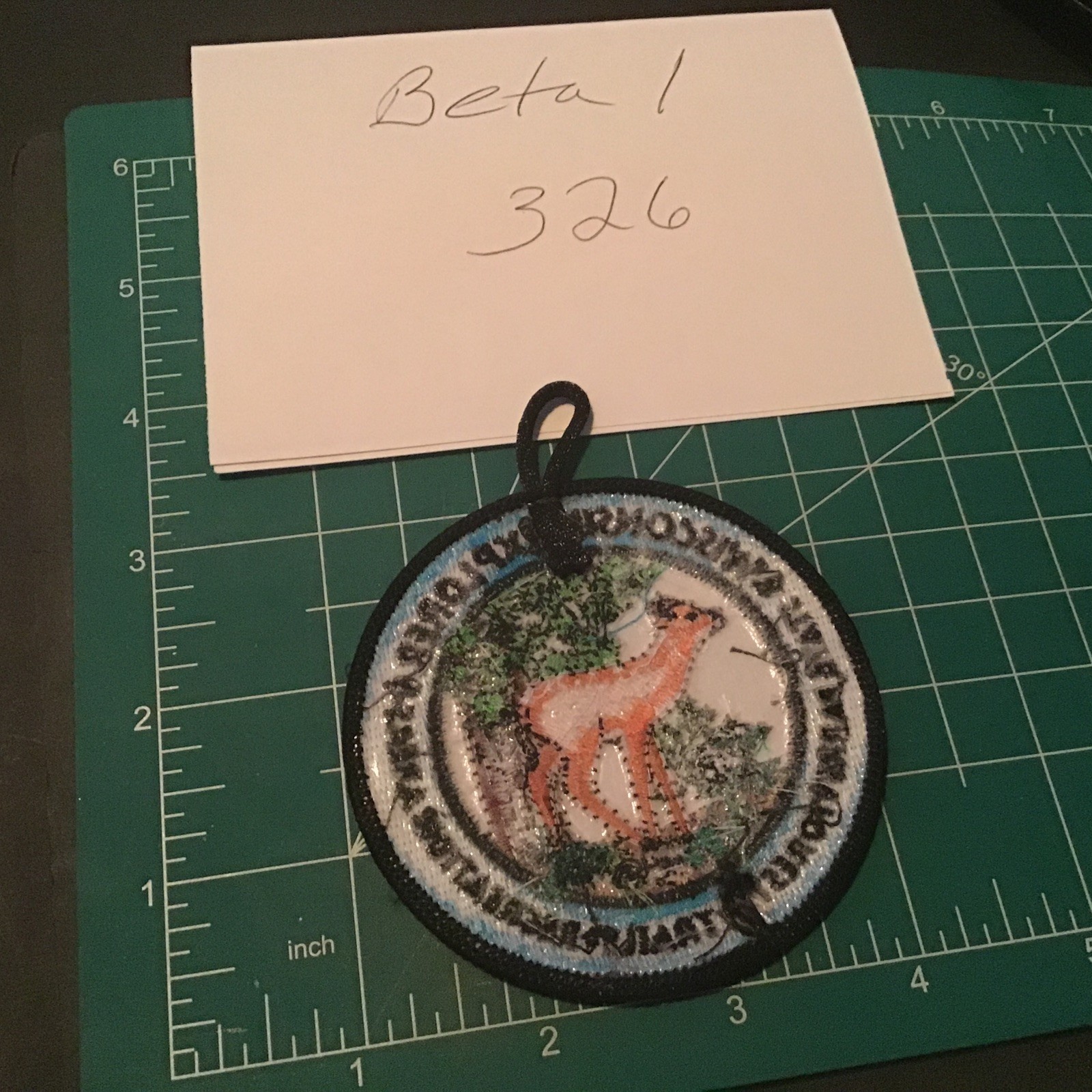 Wisconsin Explorer State Parks Forest Trail Recreation Areas Patch Deer