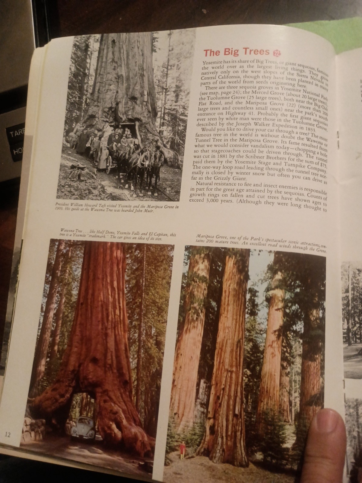 This is Yosemite by Douglas Hubbard Guide Book