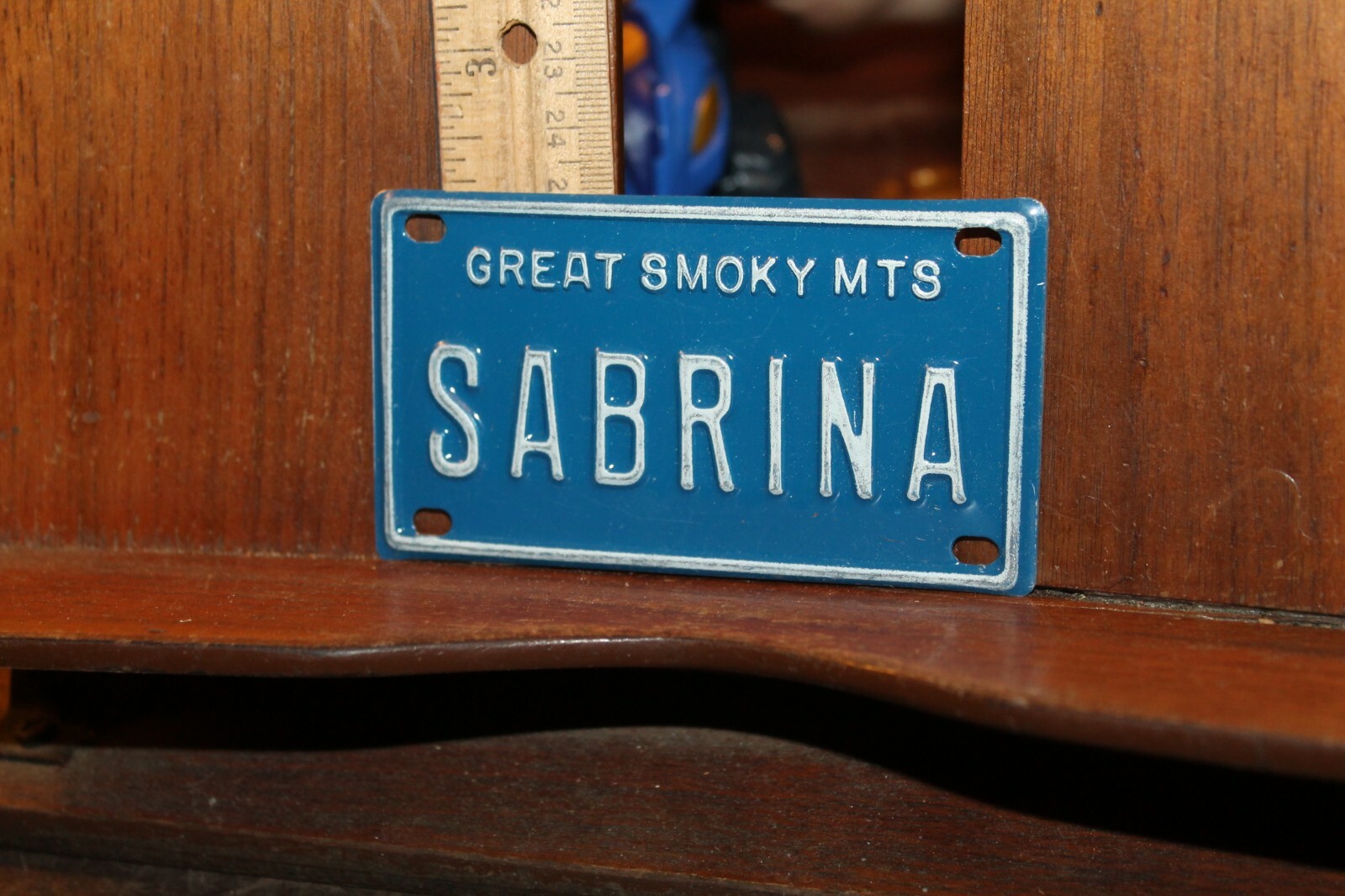 Vintage 1970’s Tennessee Bicycle License Plate Great Smoky Mountains Sabrina