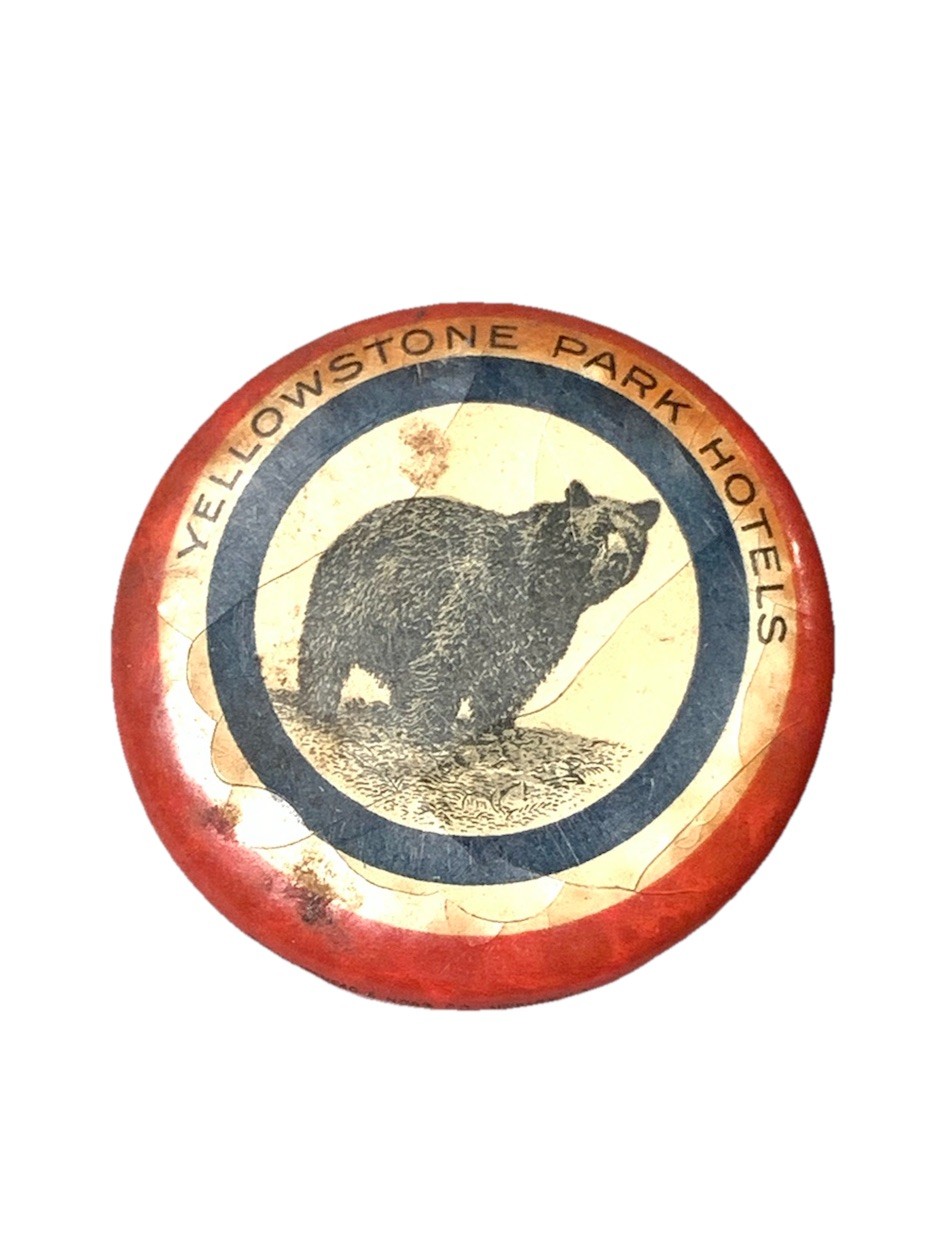Vintage Antique 1900s Yellowstone Park Hotels Bear Cracked Celluloid Pin