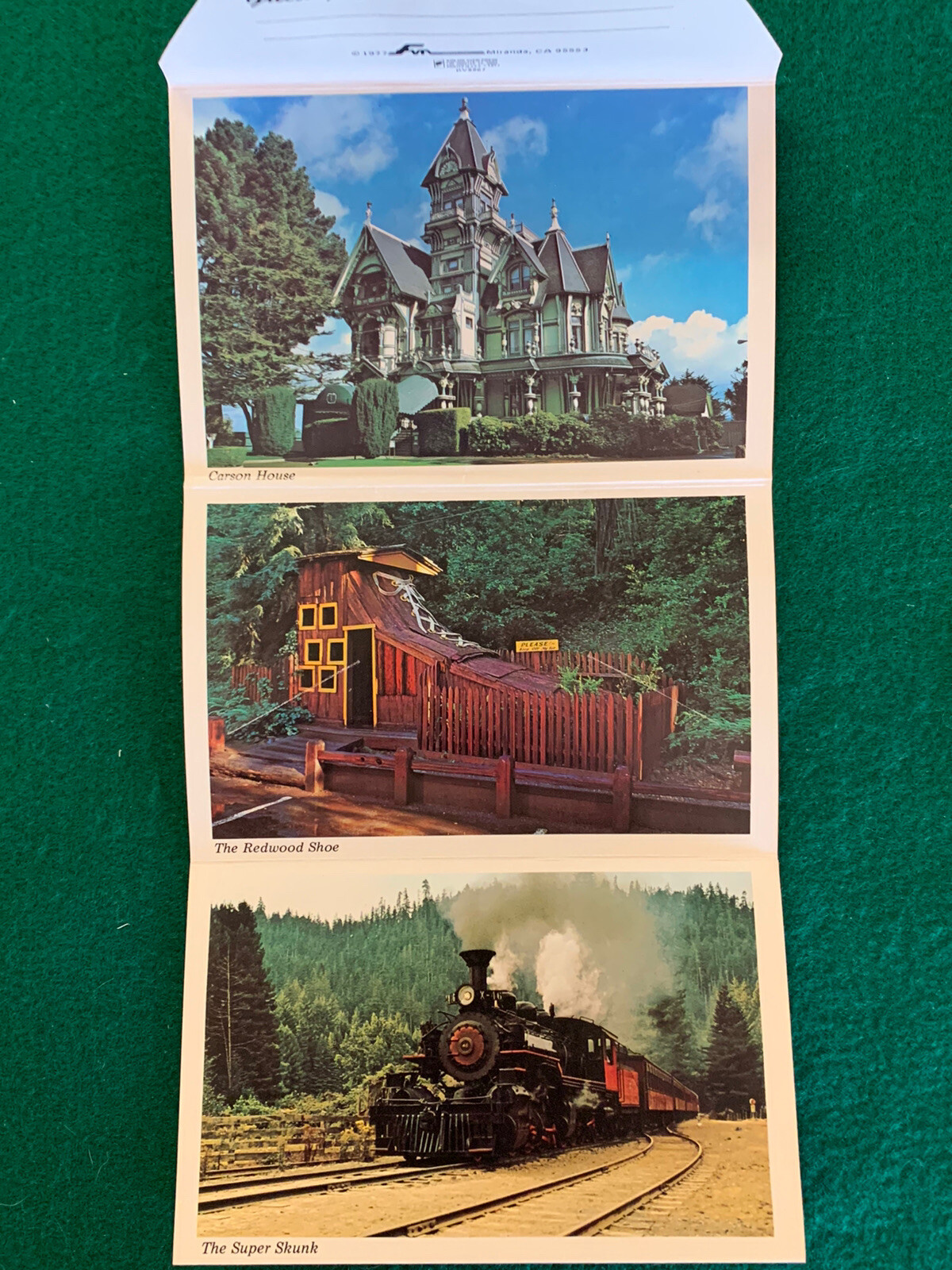Vintage 1977 The Redwoods and Californias North Coast