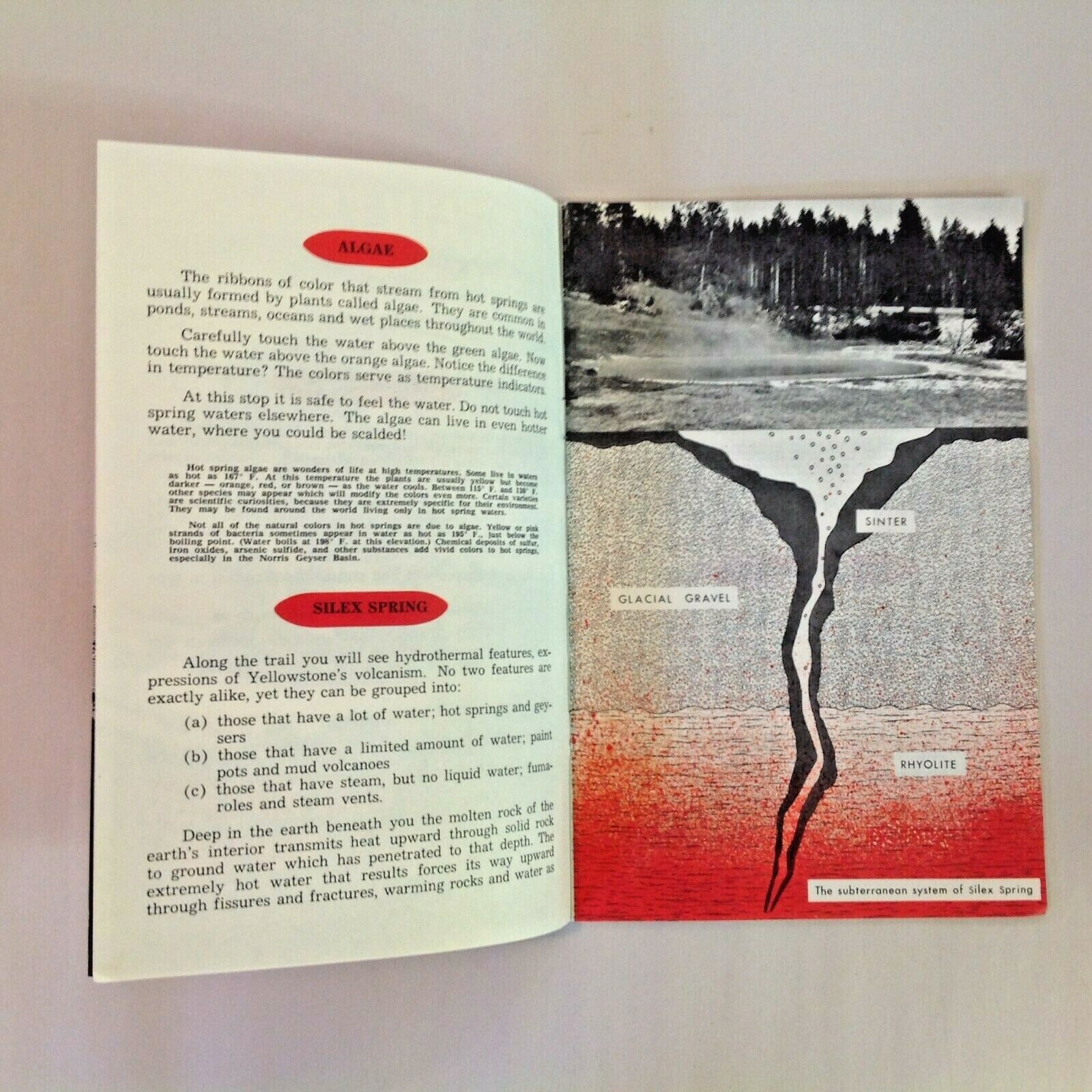 Vtg 1963 Fountain Paint Pot Nature Trail Yellowstone