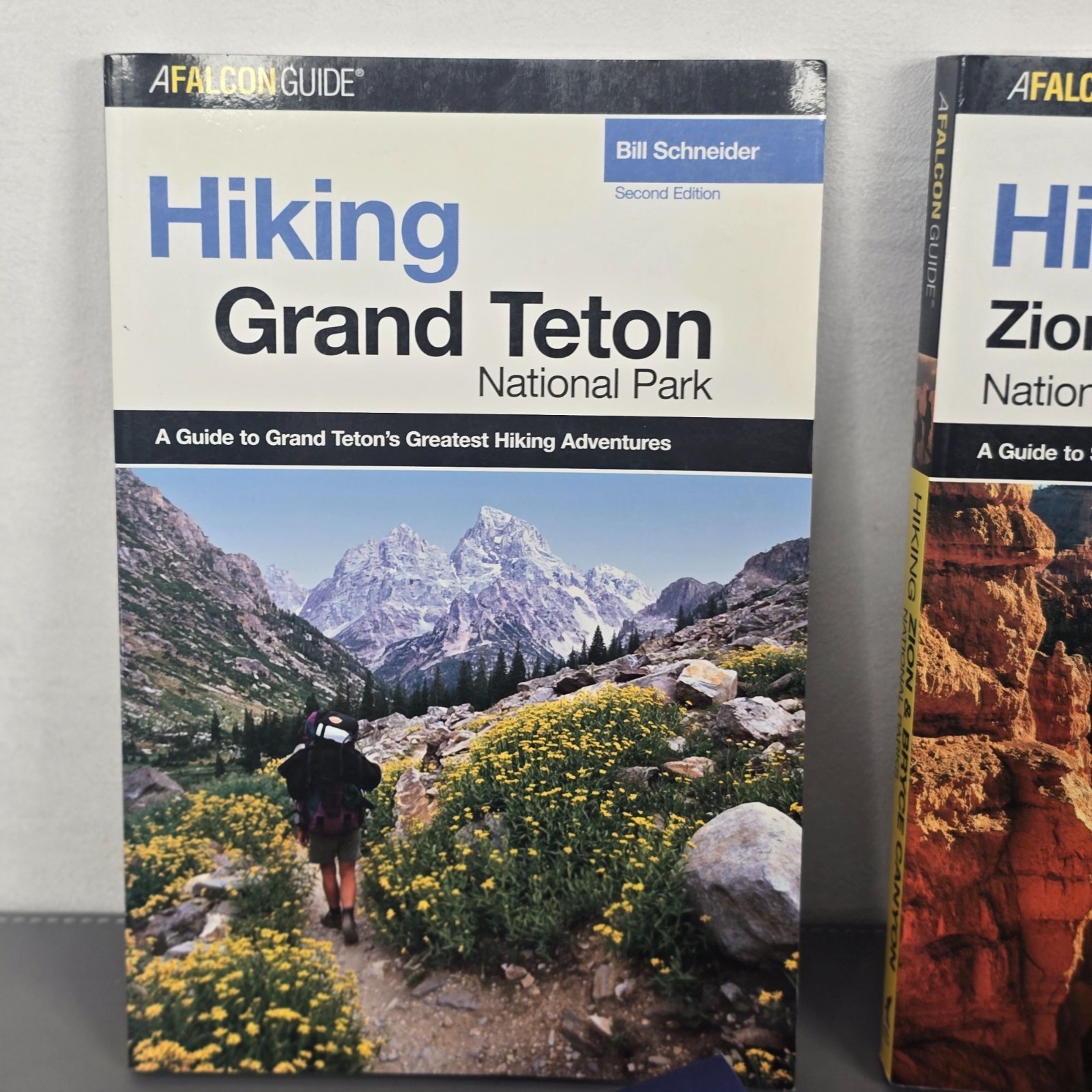 Set Of 4 National Park Hiking Guides Grand Teton Zion & Bryce Canyon Yellowstone