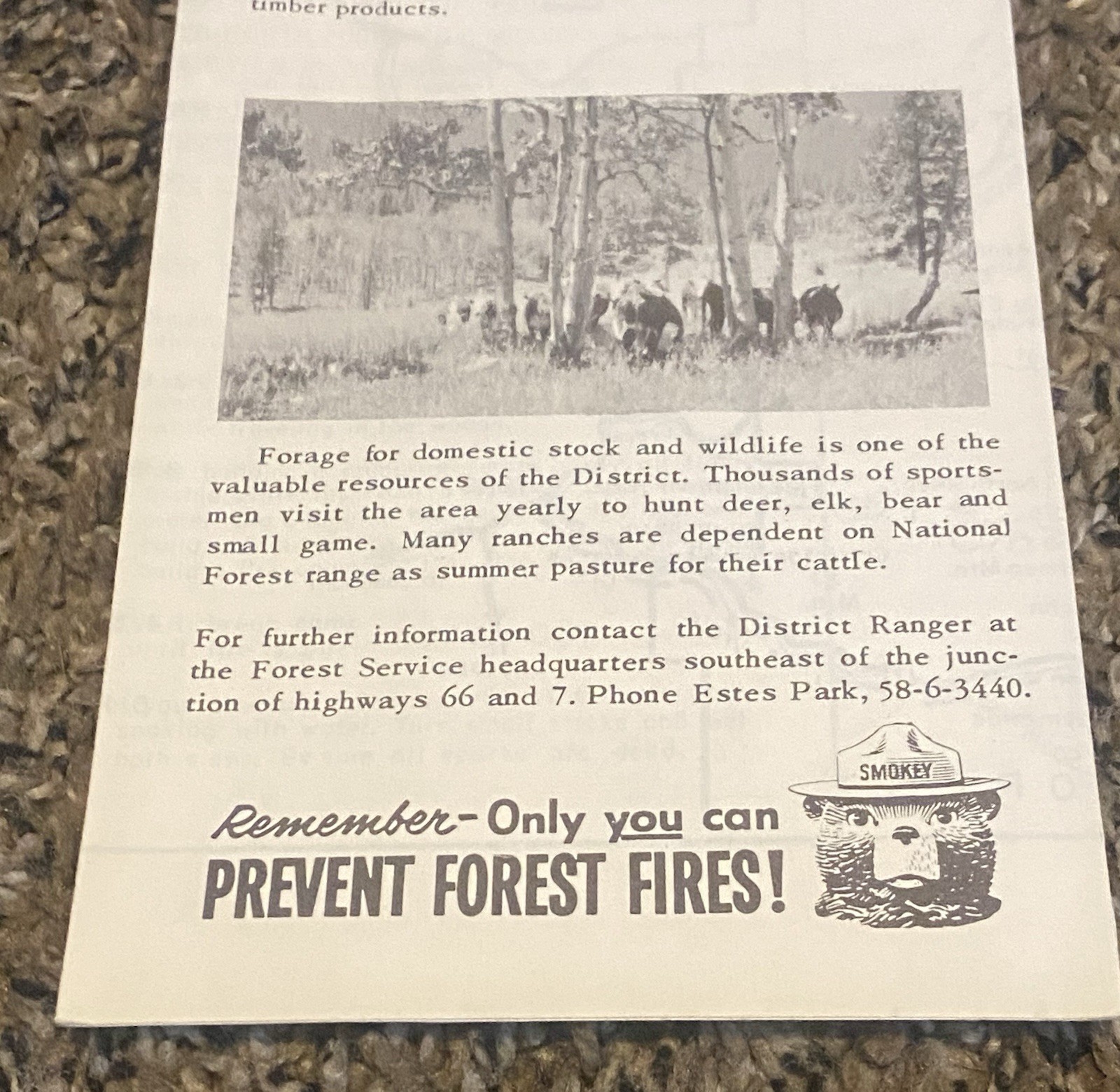 Vtg USDA Estes Park Roosevelt National Forest Brochure Map Smokey Bear Colorado