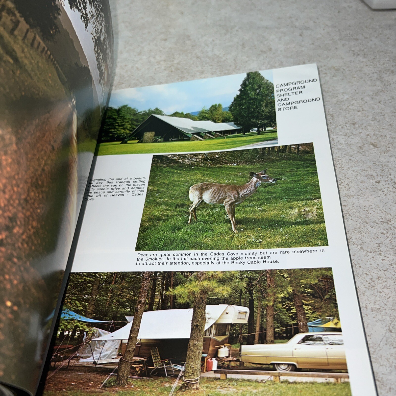 Great Smoky Mountains National Park Full Color Book North Carolina Tennessee