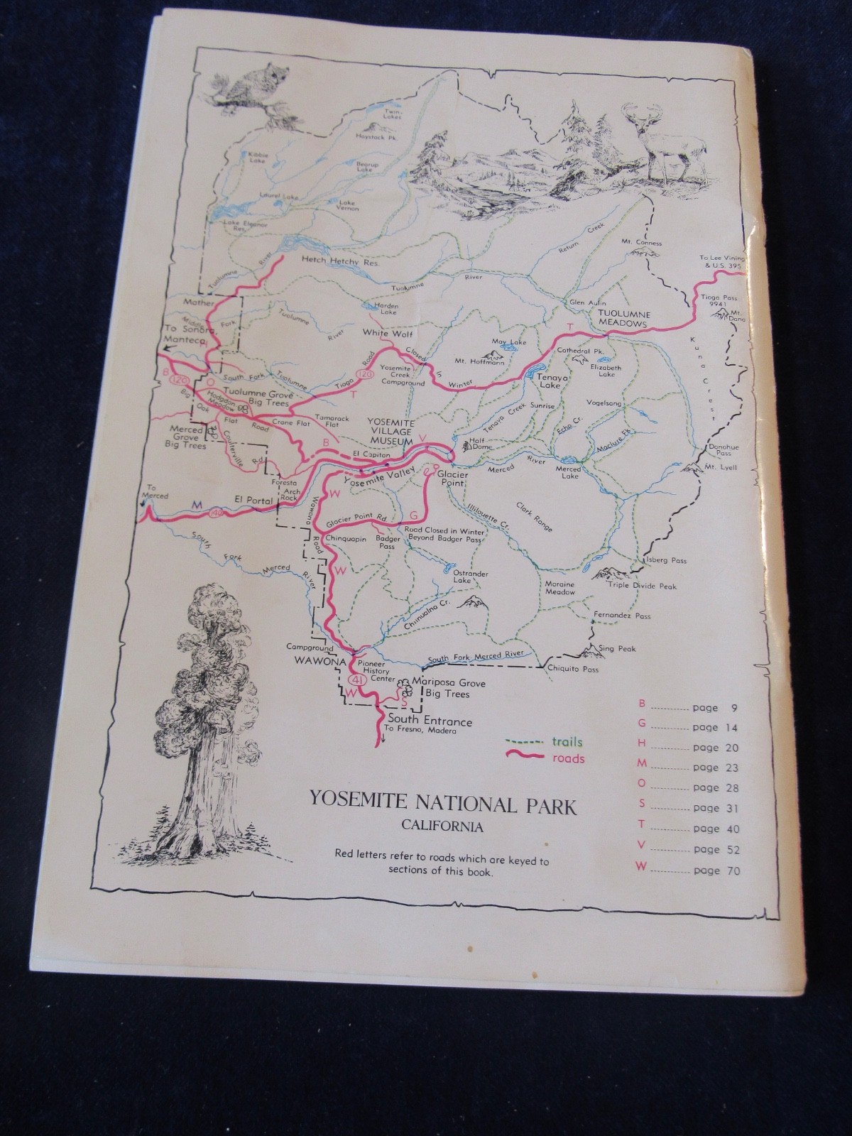 Vintage 1965 Self Guiding Auto Tours In Yosemite National Park Brochure C564