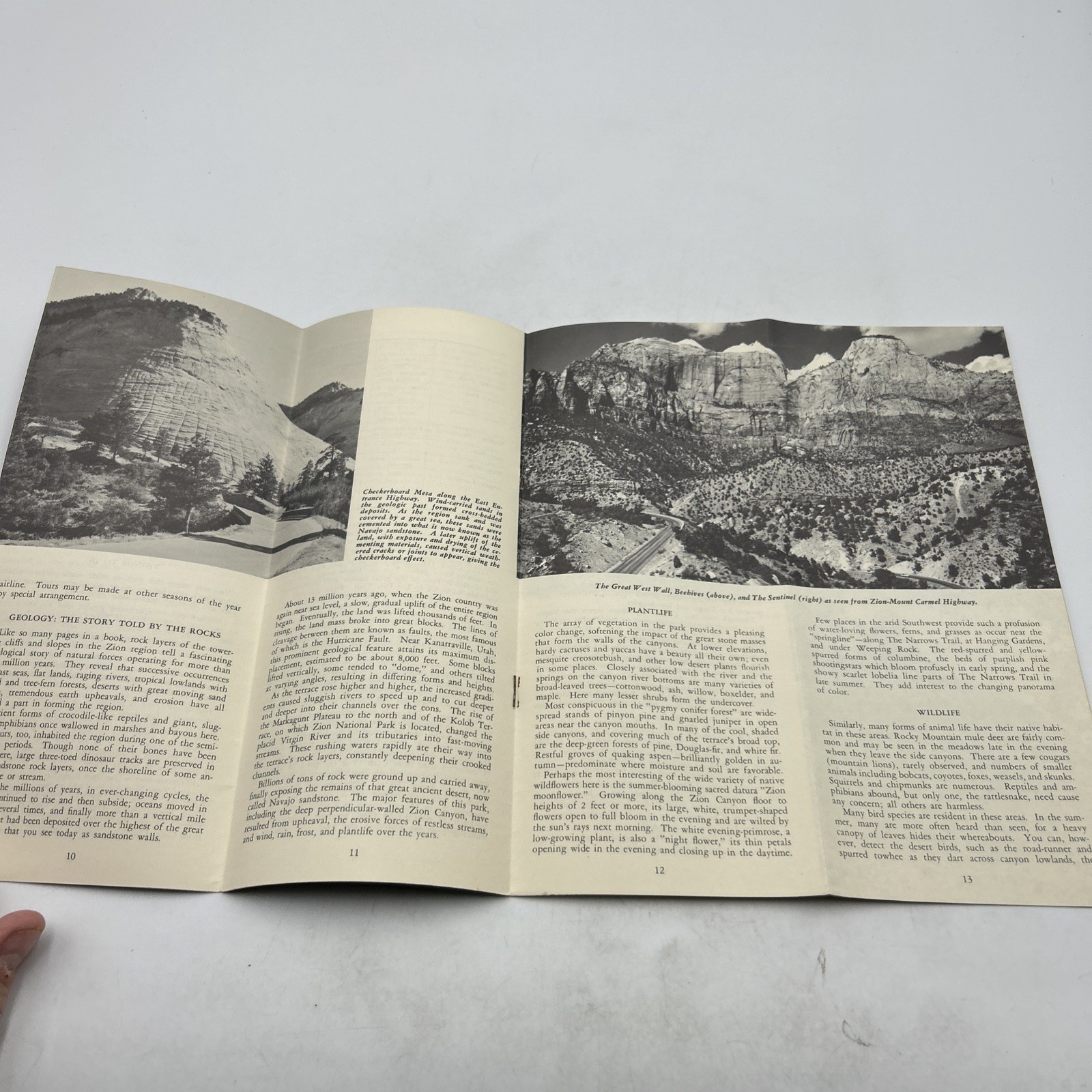 Zion National Park Utah 1961 Map And Information Brochure