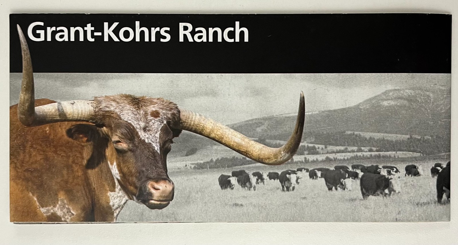 2018 Grant-Khors Ranch Montana National Park Service Official Guide Brochure Map