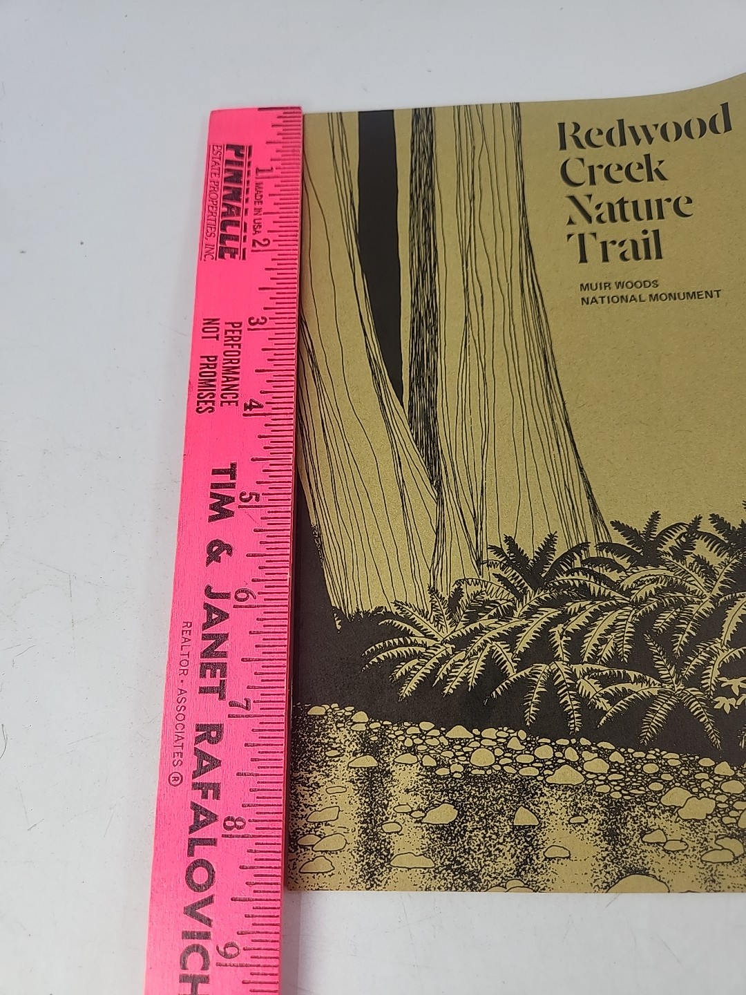 Vintage Muir Woods Monument Nature Lover Brochure Ephemera And Map